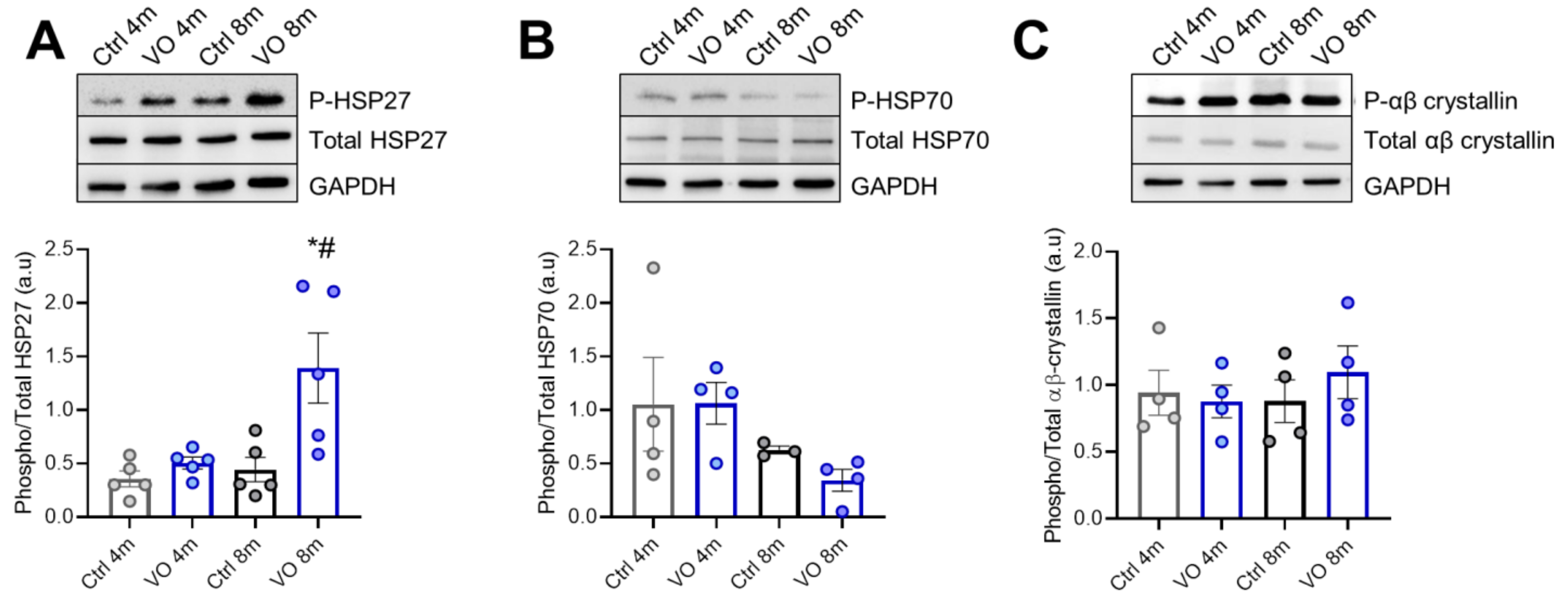 Antioxidants 11 02210 g005