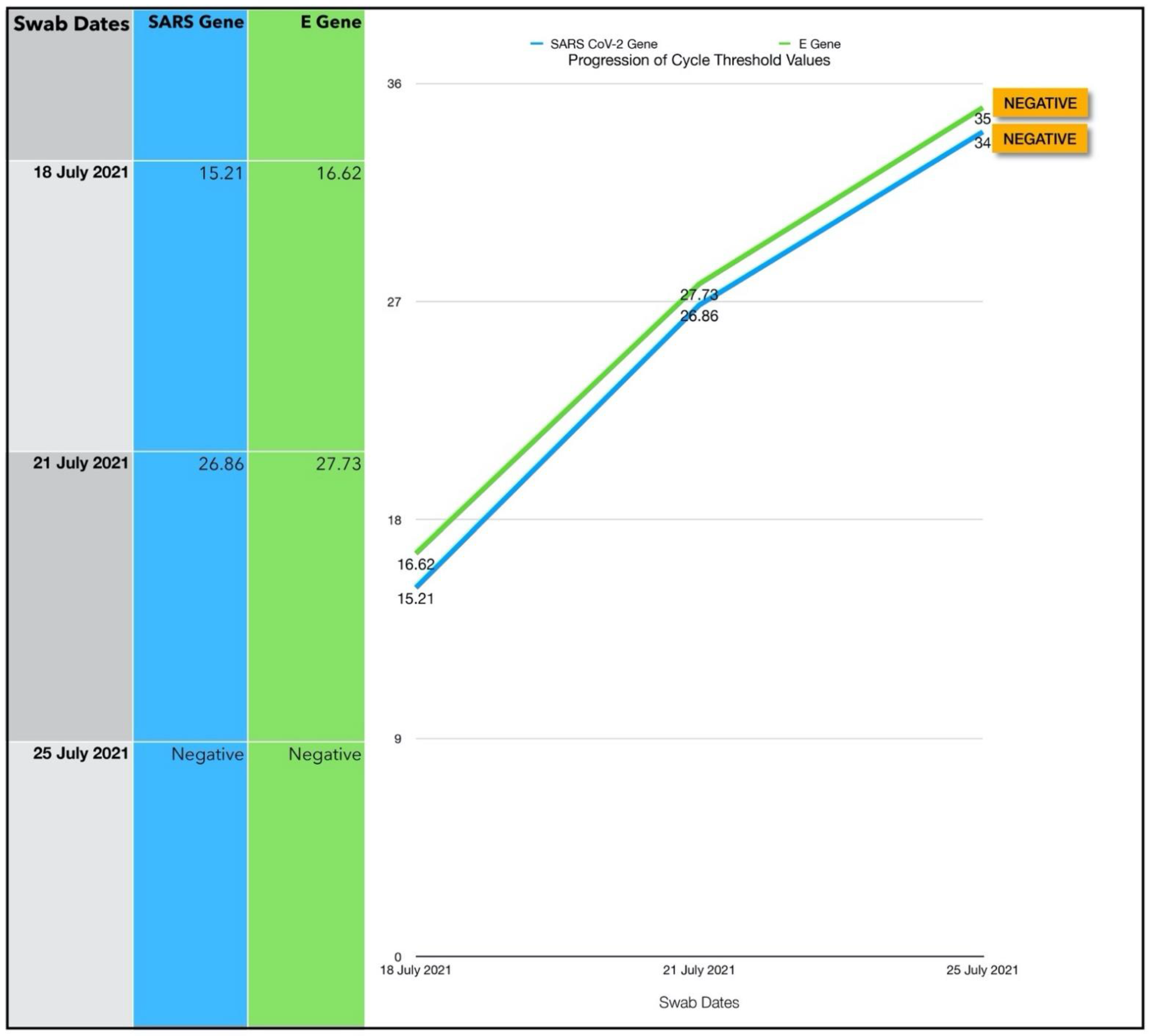 Antioxidants 11 02211 g013