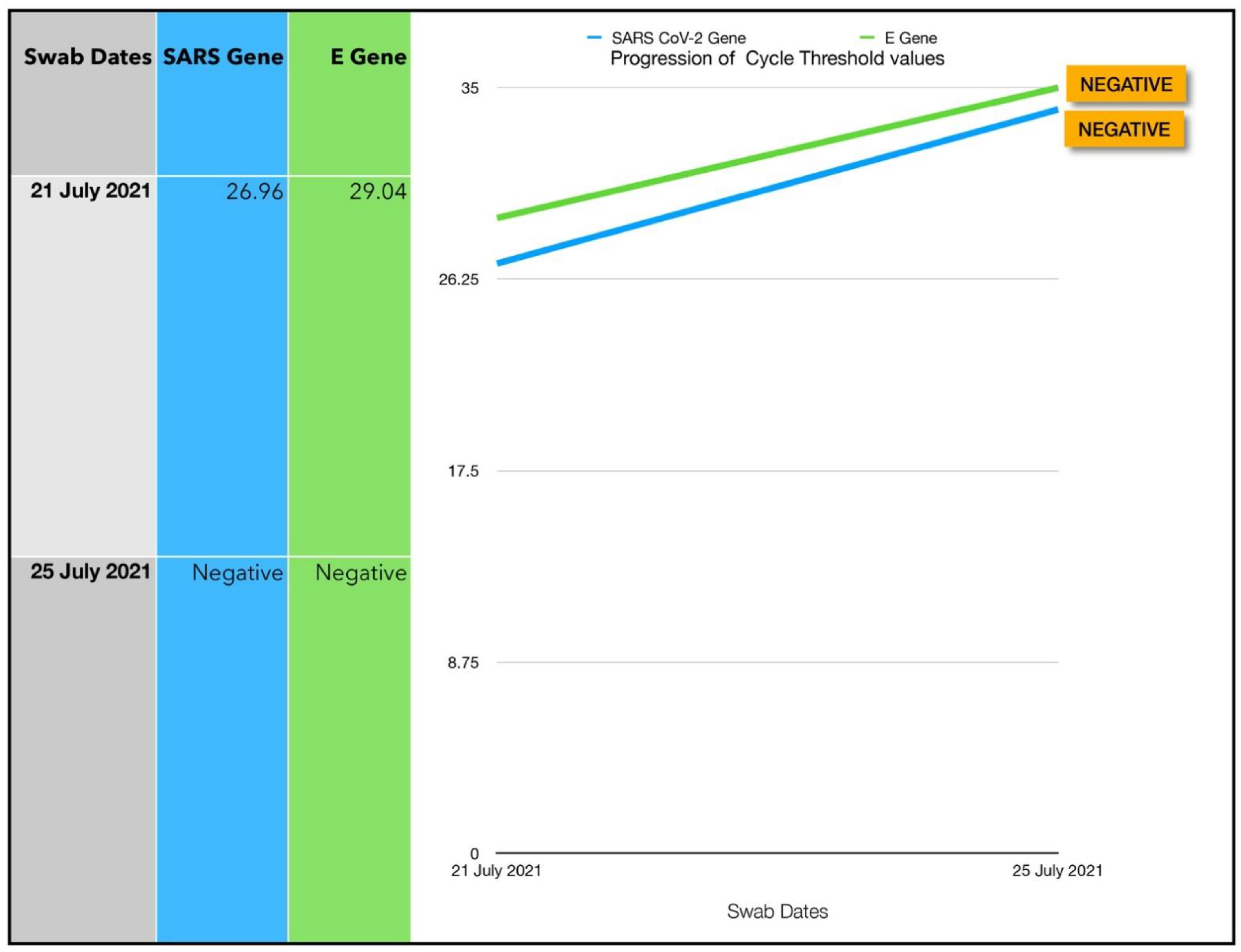 Antioxidants 11 02211 g015