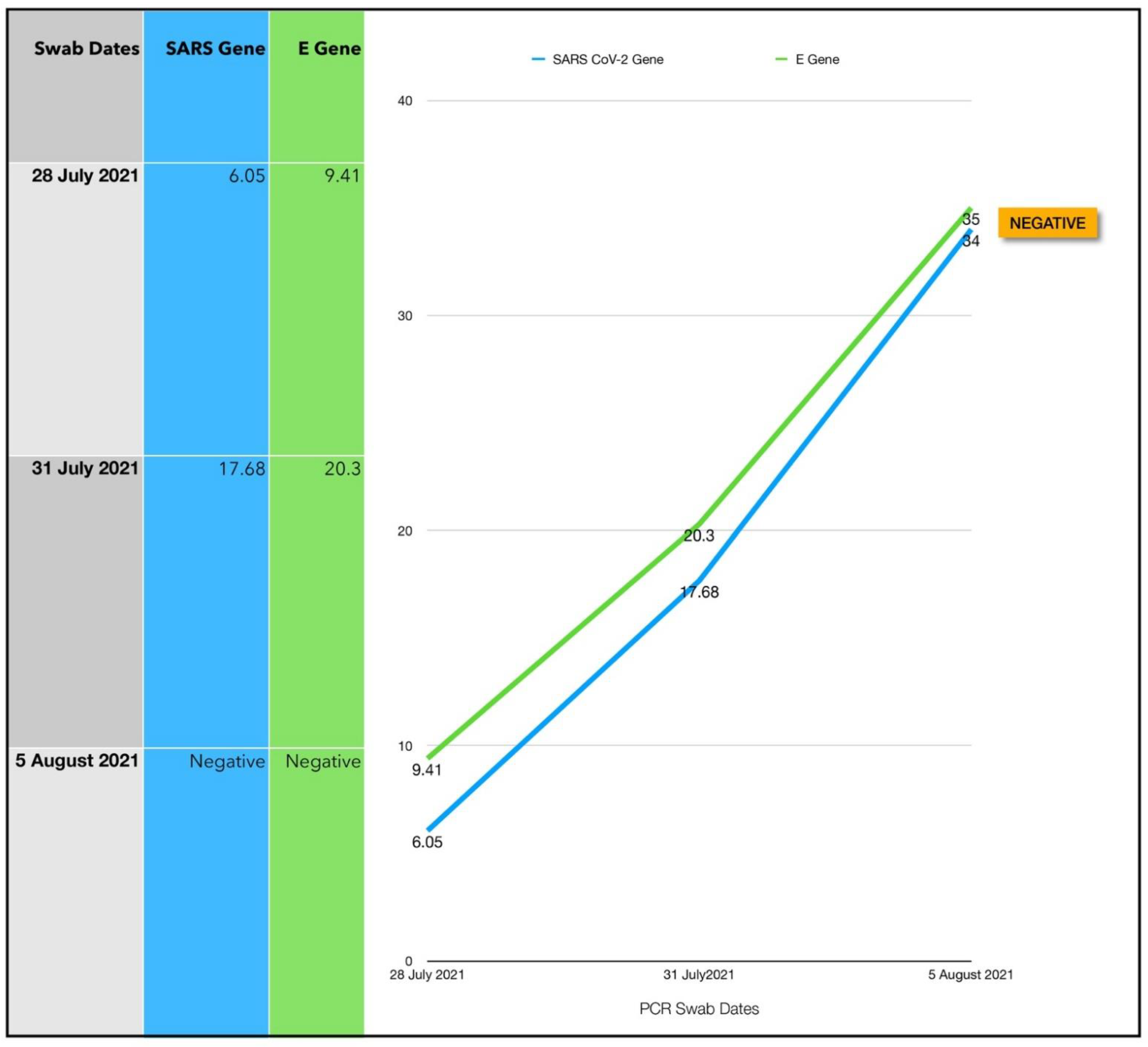 Antioxidants 11 02211 g016