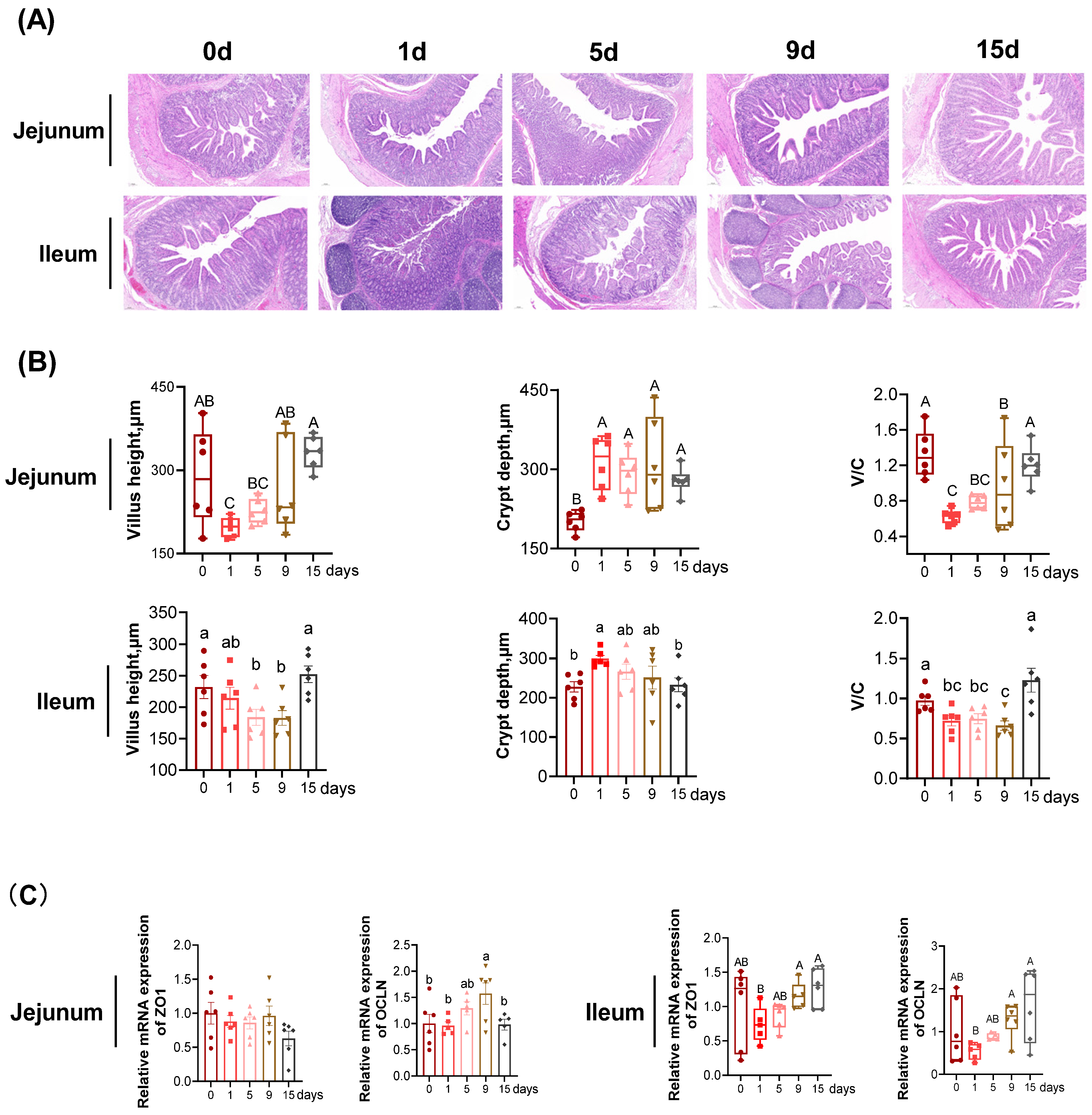 Antioxidants 11 02215 g002