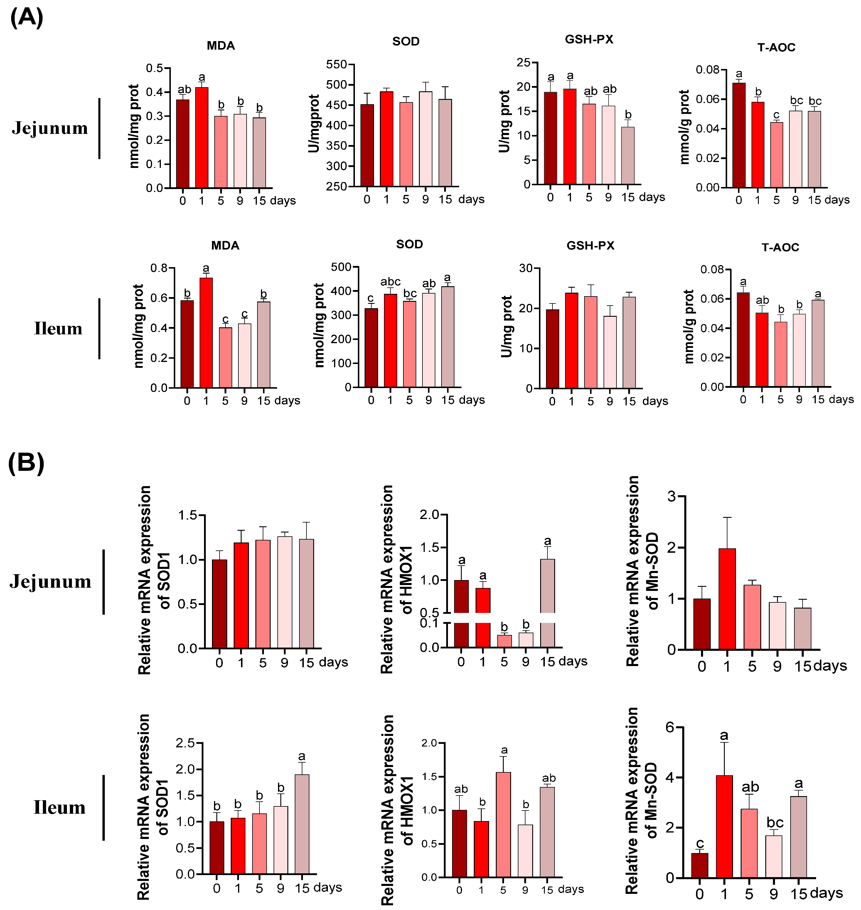 Antioxidants 11 02215 g004