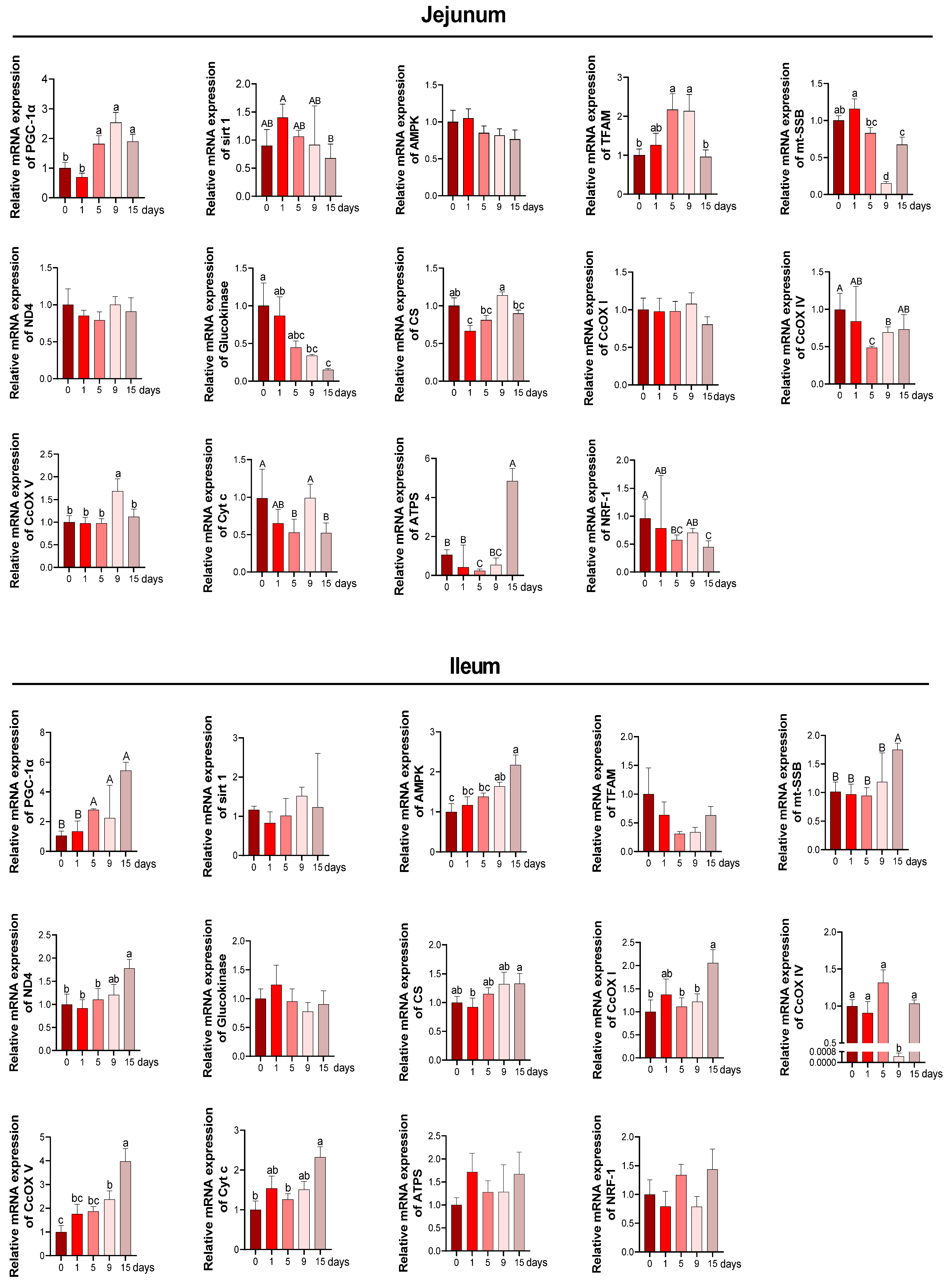 Antioxidants 11 02215 g006