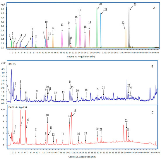 PDF) Comparative assessment of the antioxidant potential of bamboo