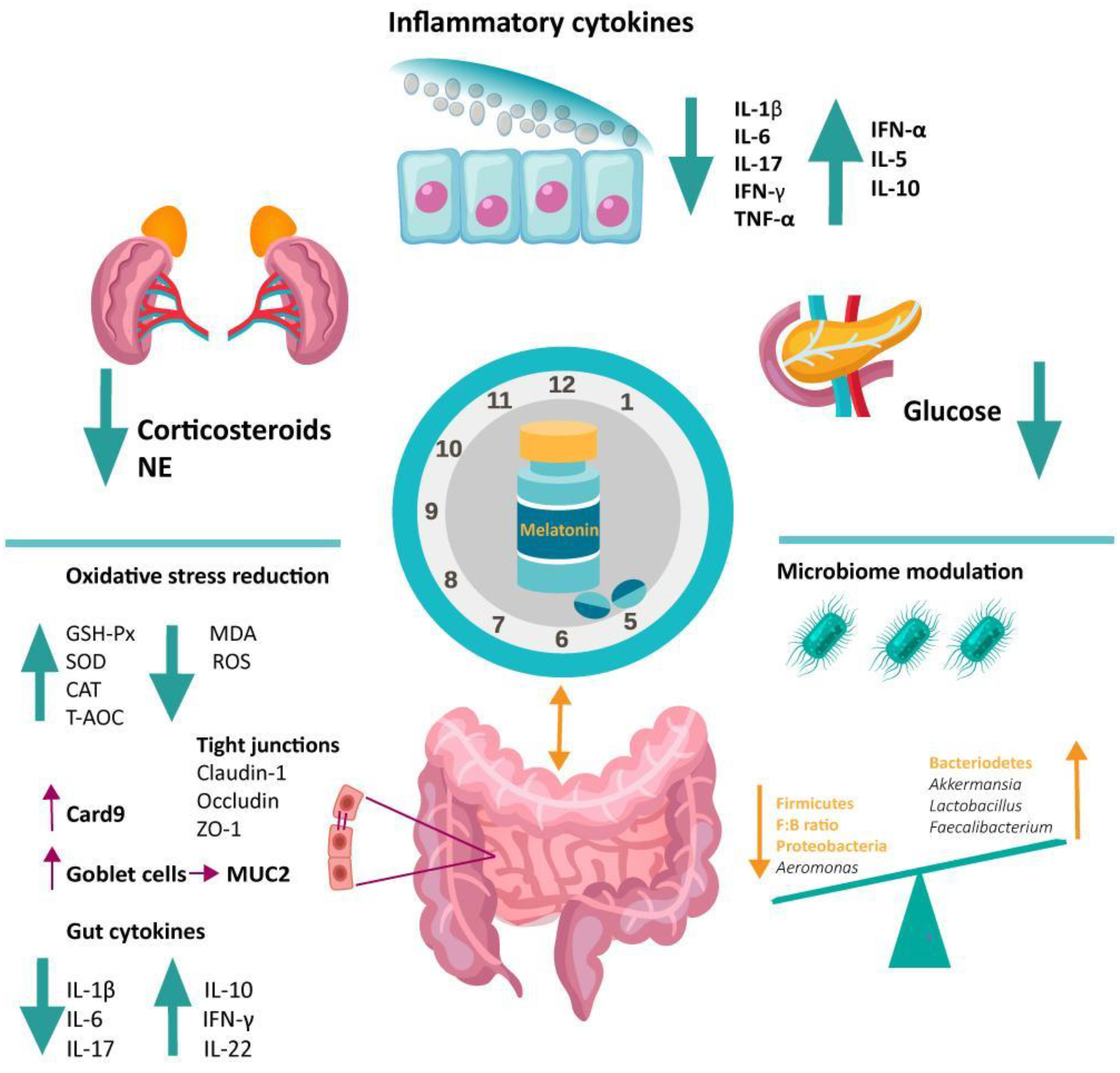 NMDAR in bladder smooth muscle is not a pharmacotherapy target for  overactive bladder in mice [PeerJ]