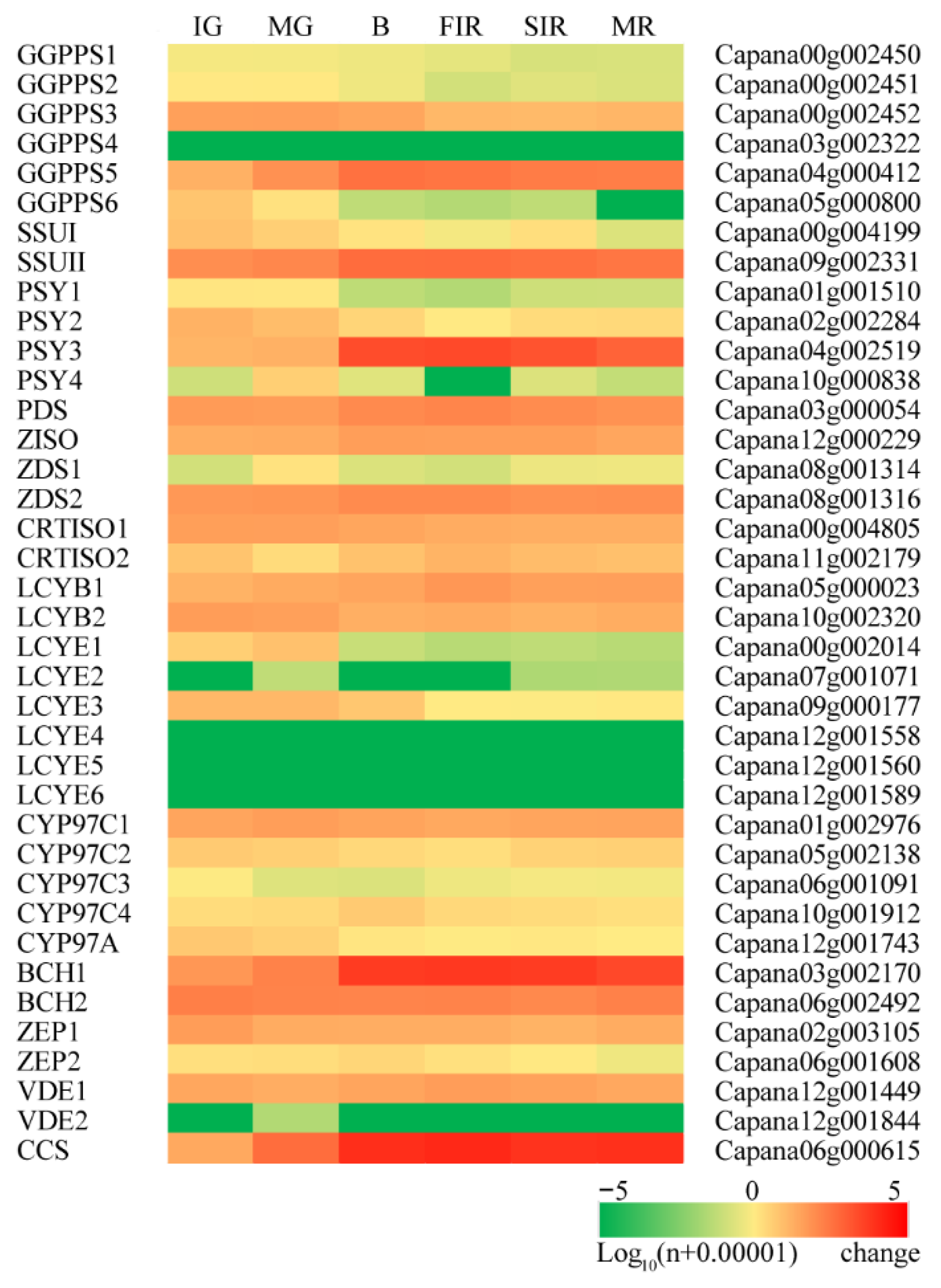 Antioxidants 11 02245 g004