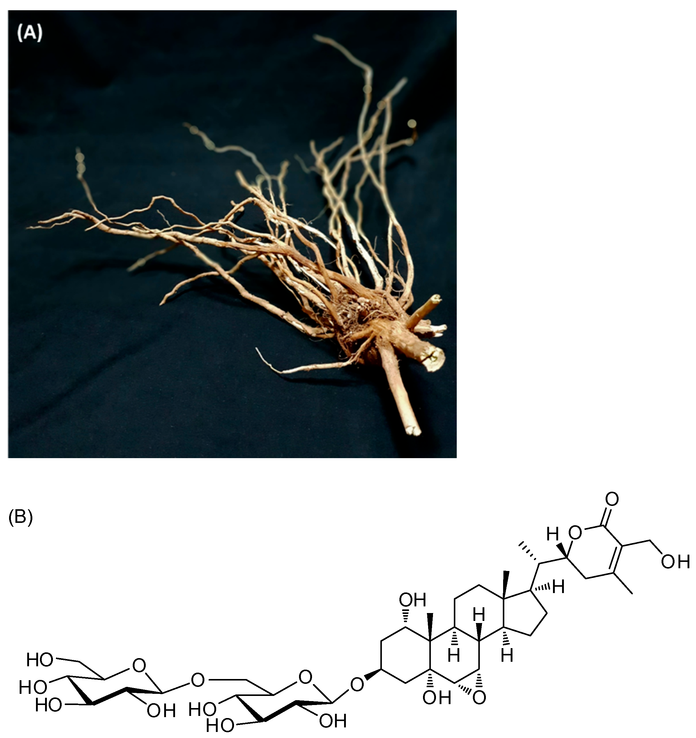 Antioxidants 11 02248 g001