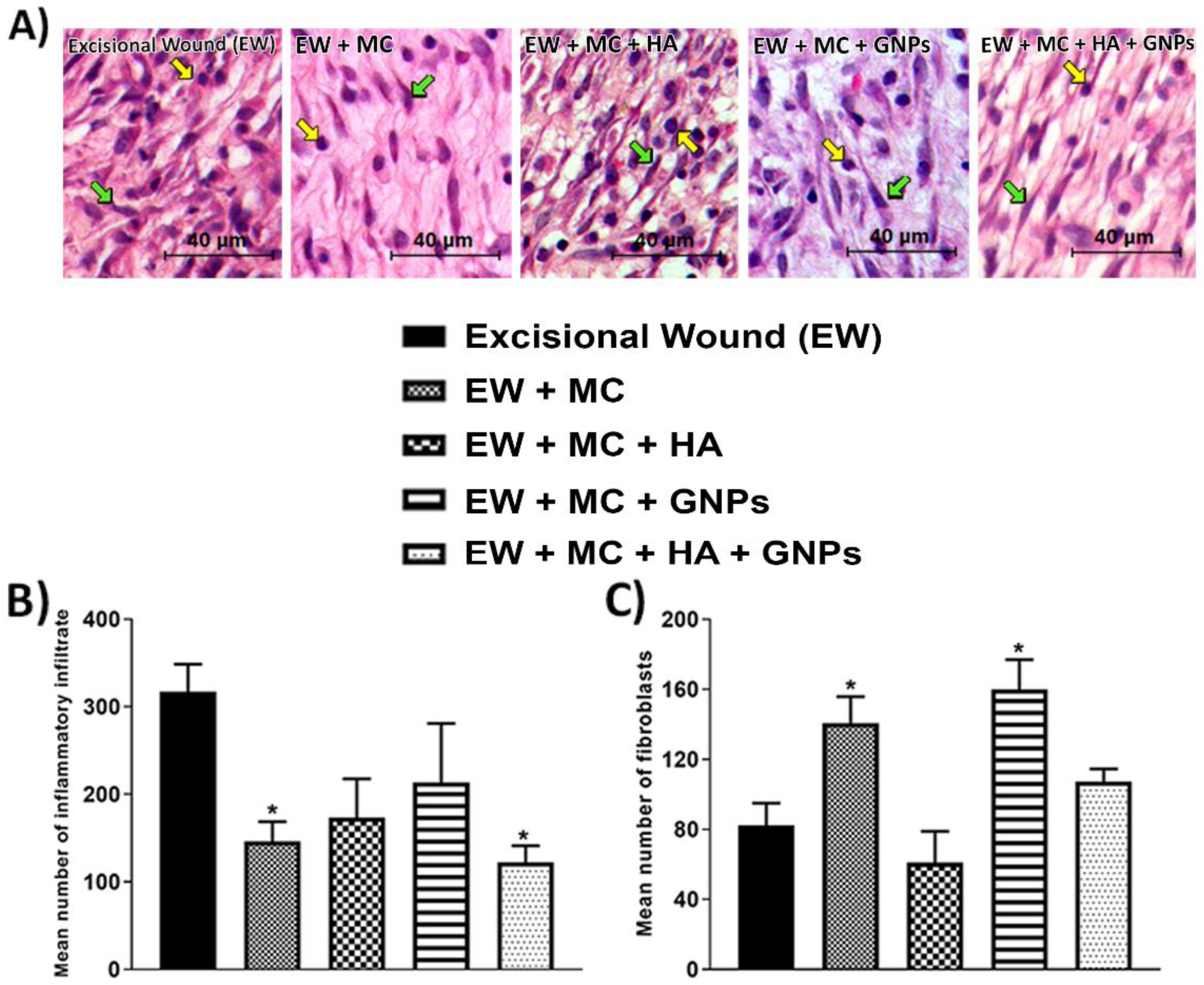 Antioxidants 11 02257 g003