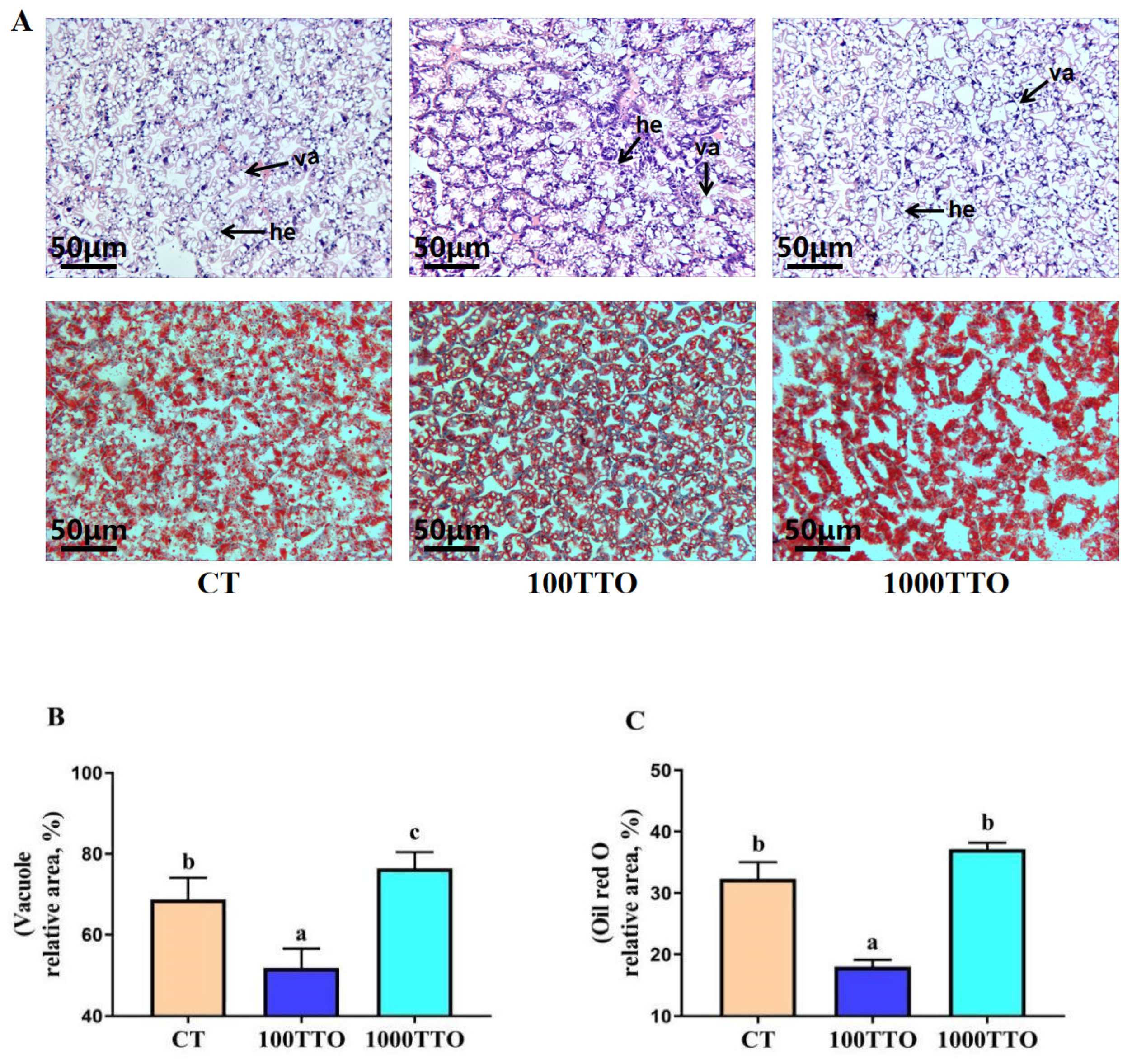 Antioxidants 11 02260 g001