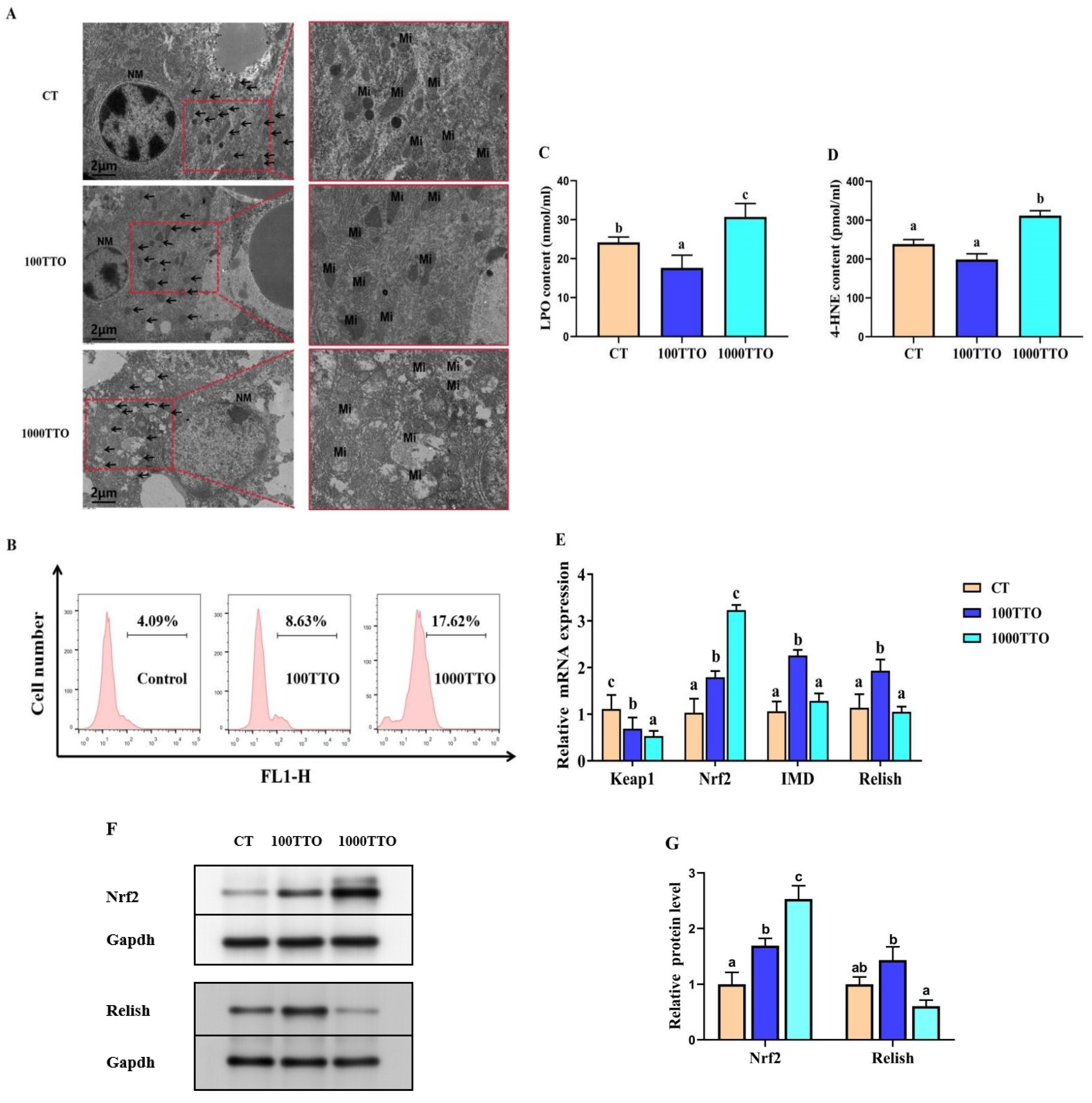Antioxidants 11 02260 g006