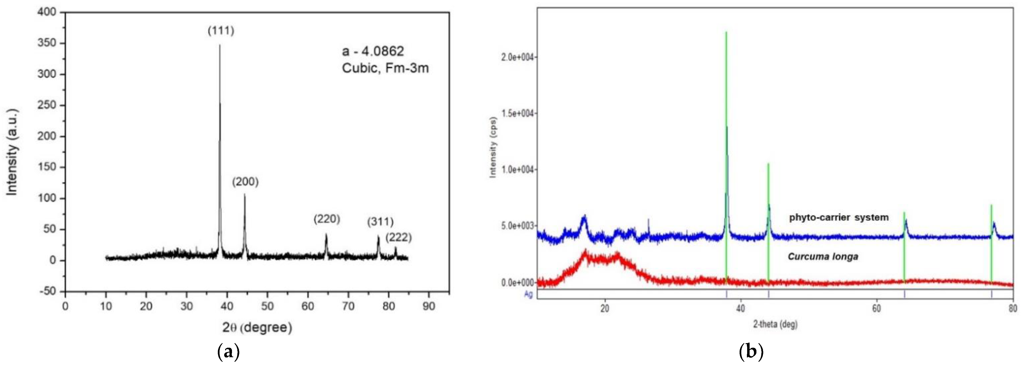 Antioxidants 11 02261 g007