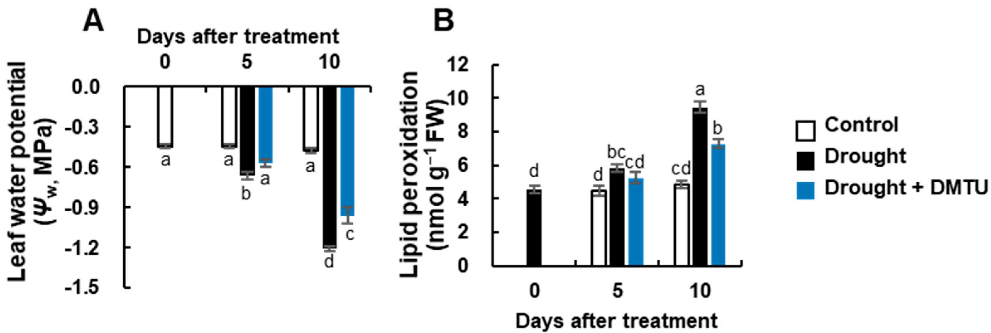 Antioxidants 11 02283 g001