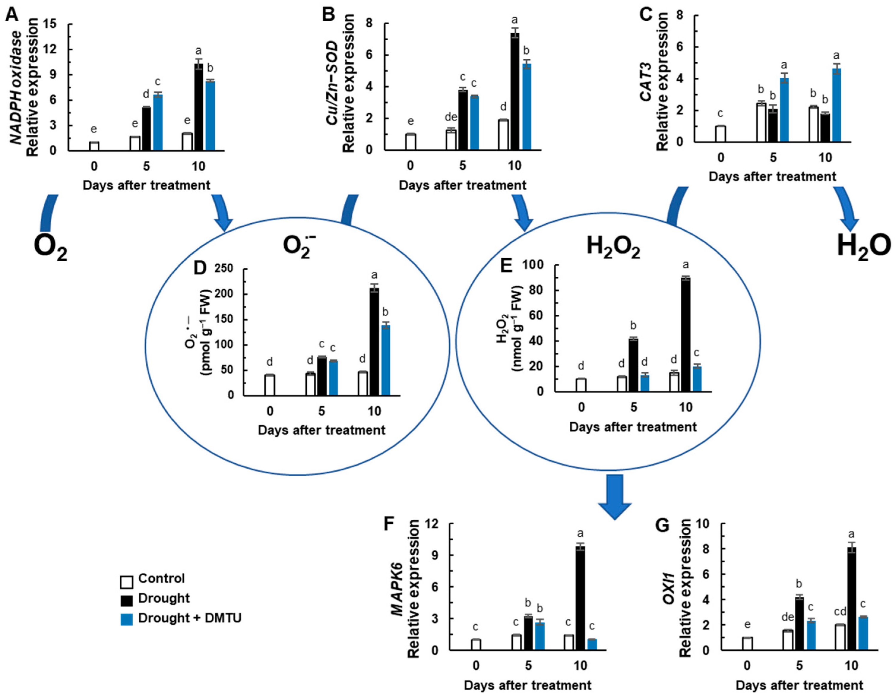 Antioxidants 11 02283 g002