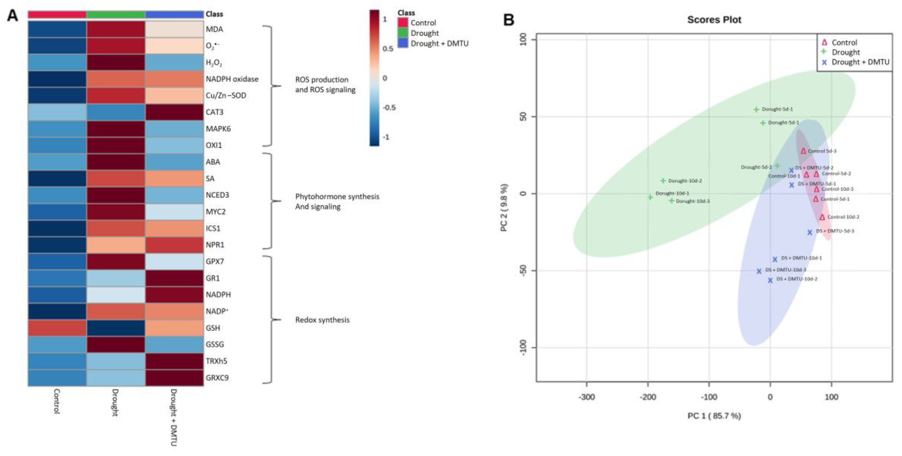 Antioxidants 11 02283 g006