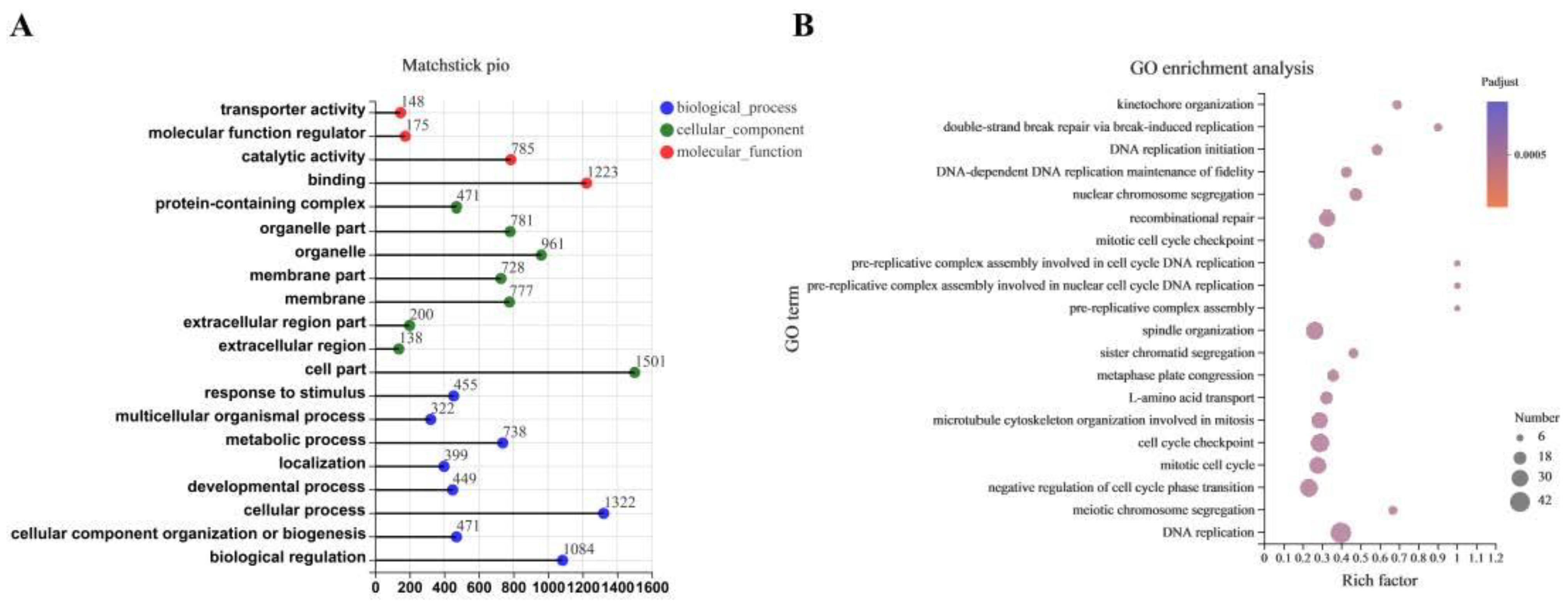 Antioxidants 11 02285 g006