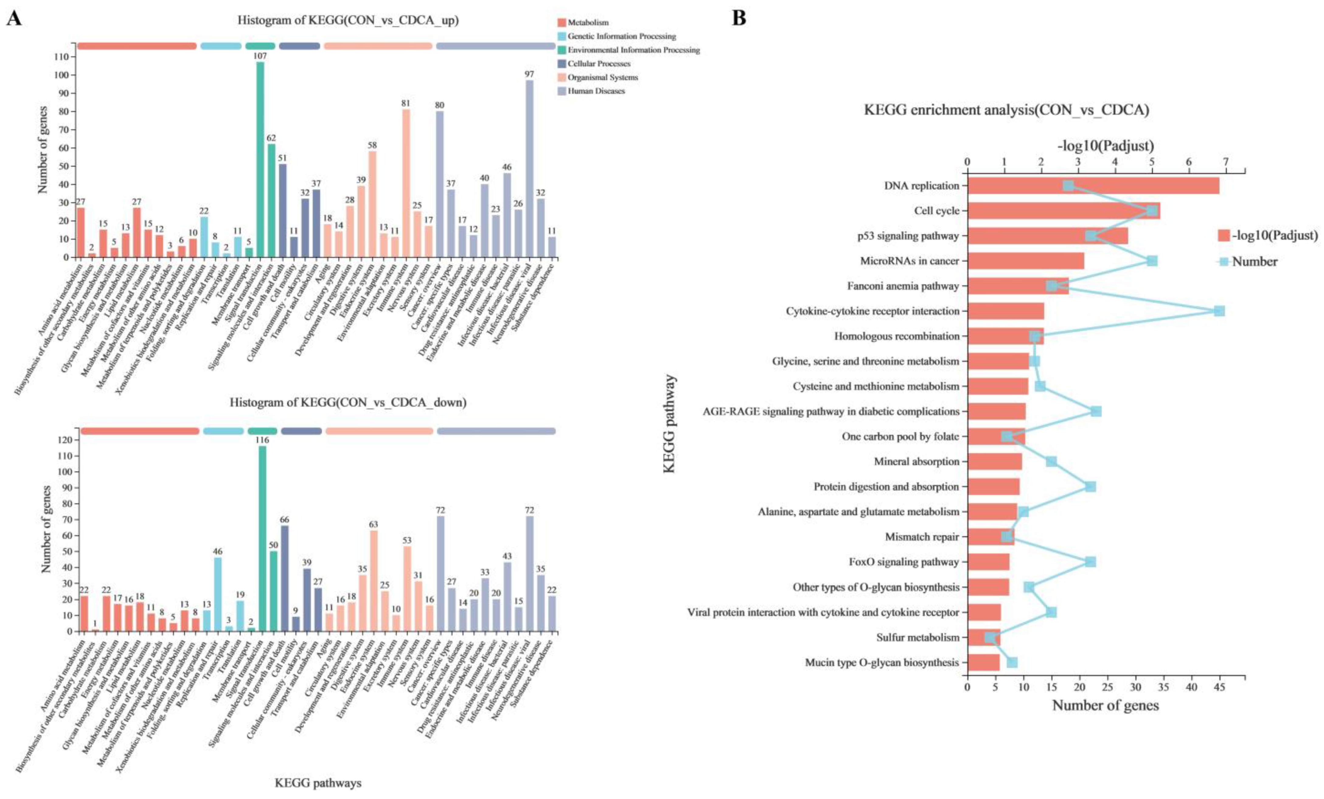 Antioxidants 11 02285 g007
