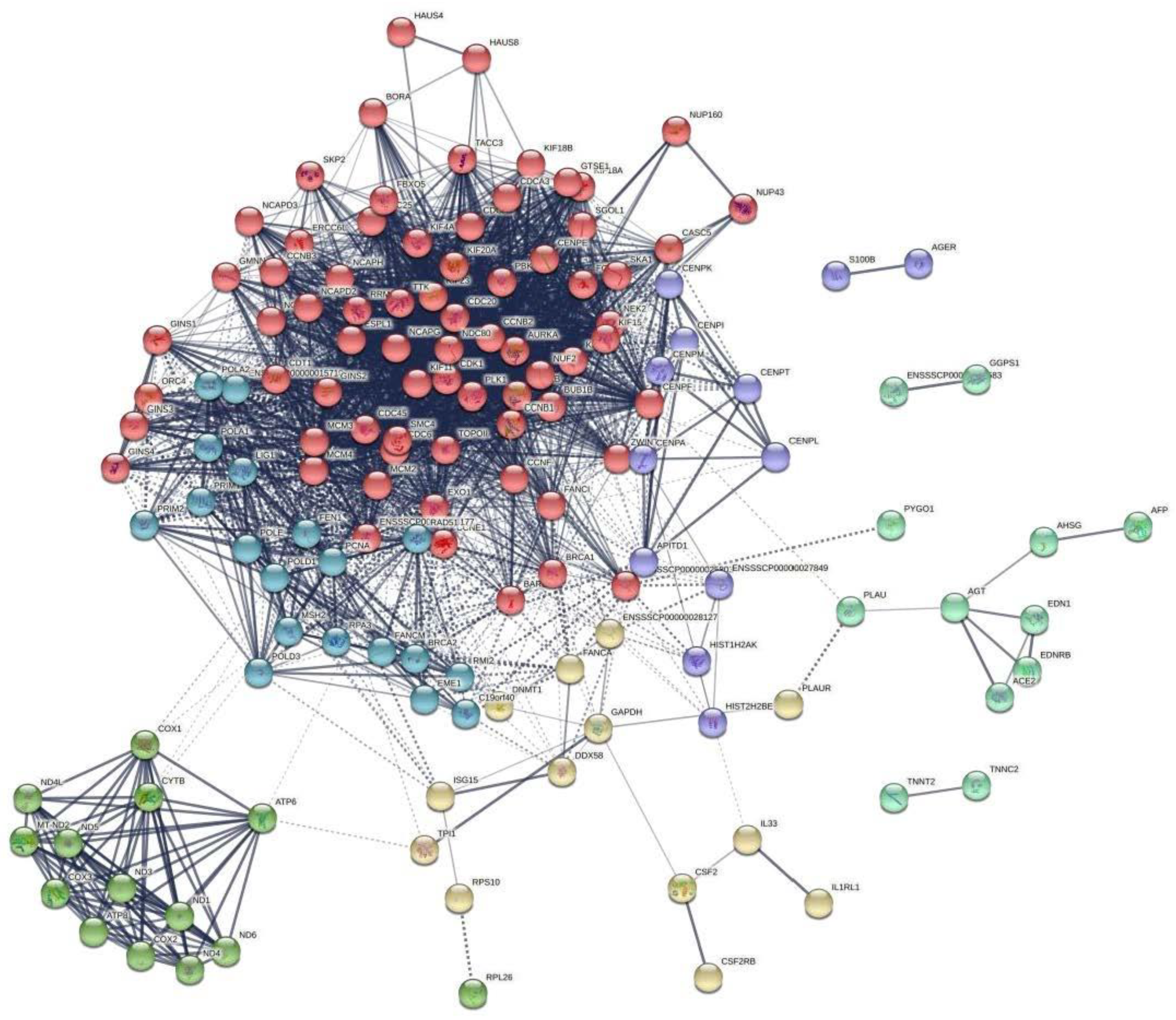 Antioxidants 11 02285 g008