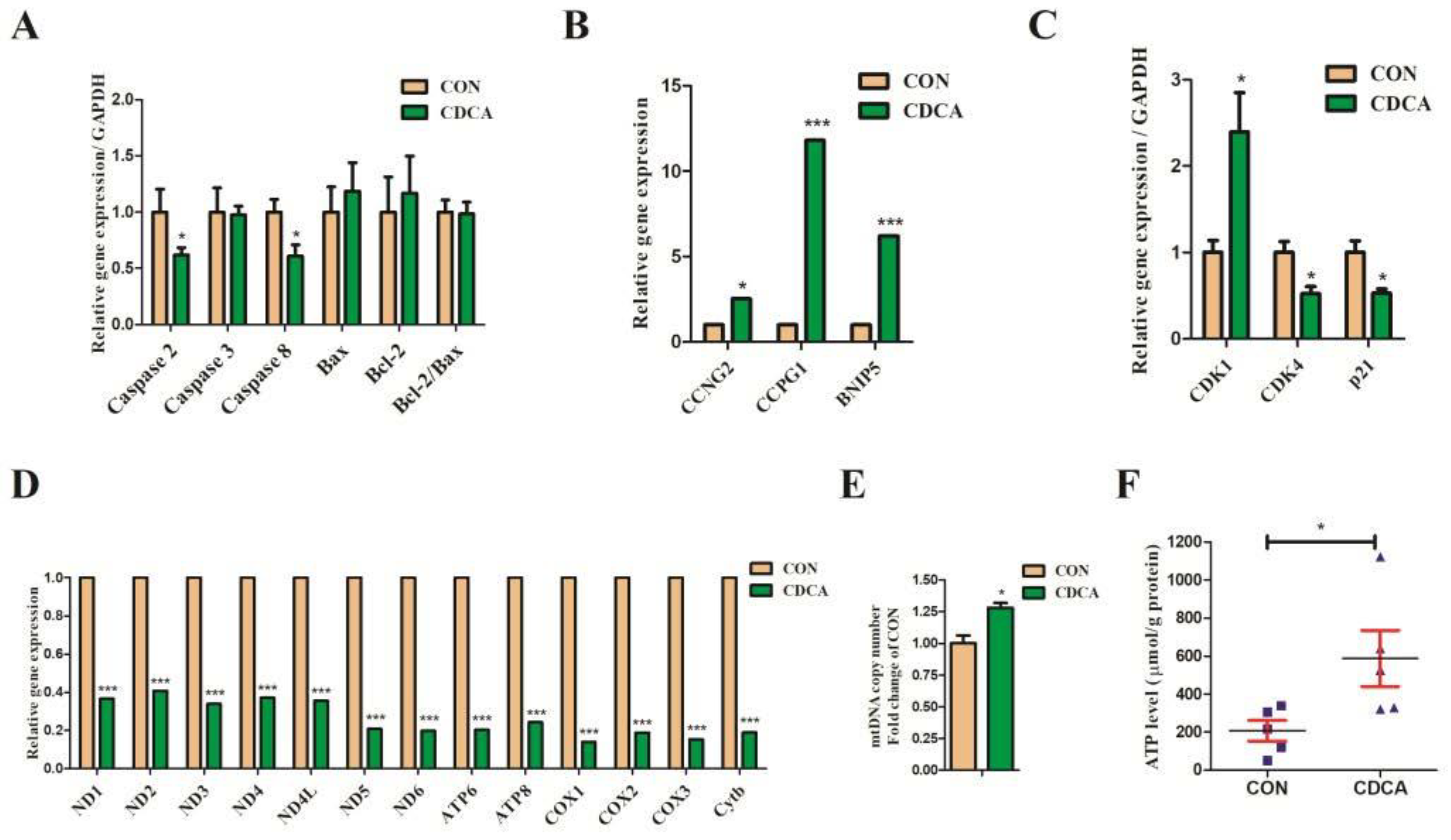 Antioxidants 11 02285 g009