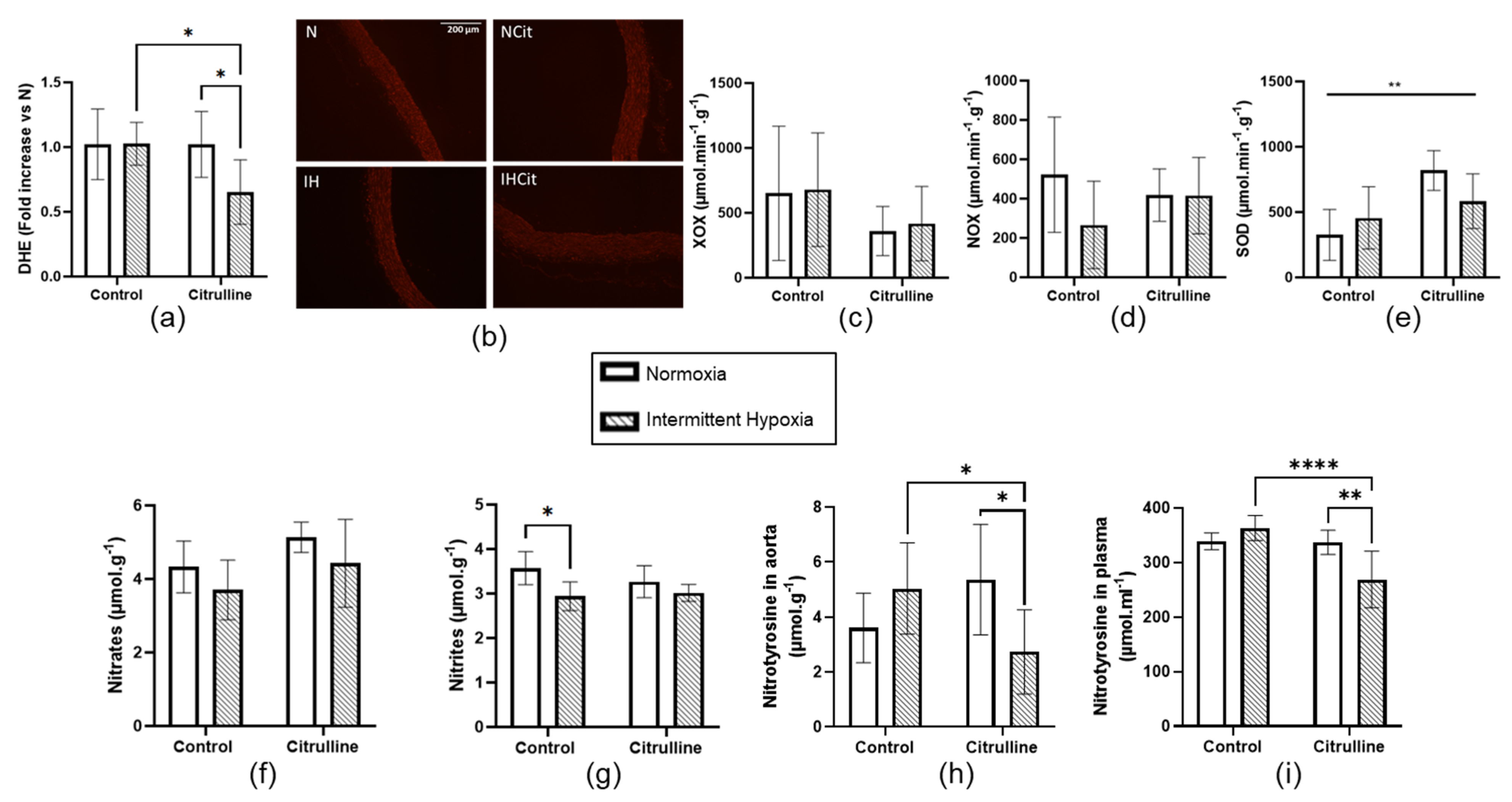 Antioxidants 11 02326 g004 Antioxidants 11 02326 g004
