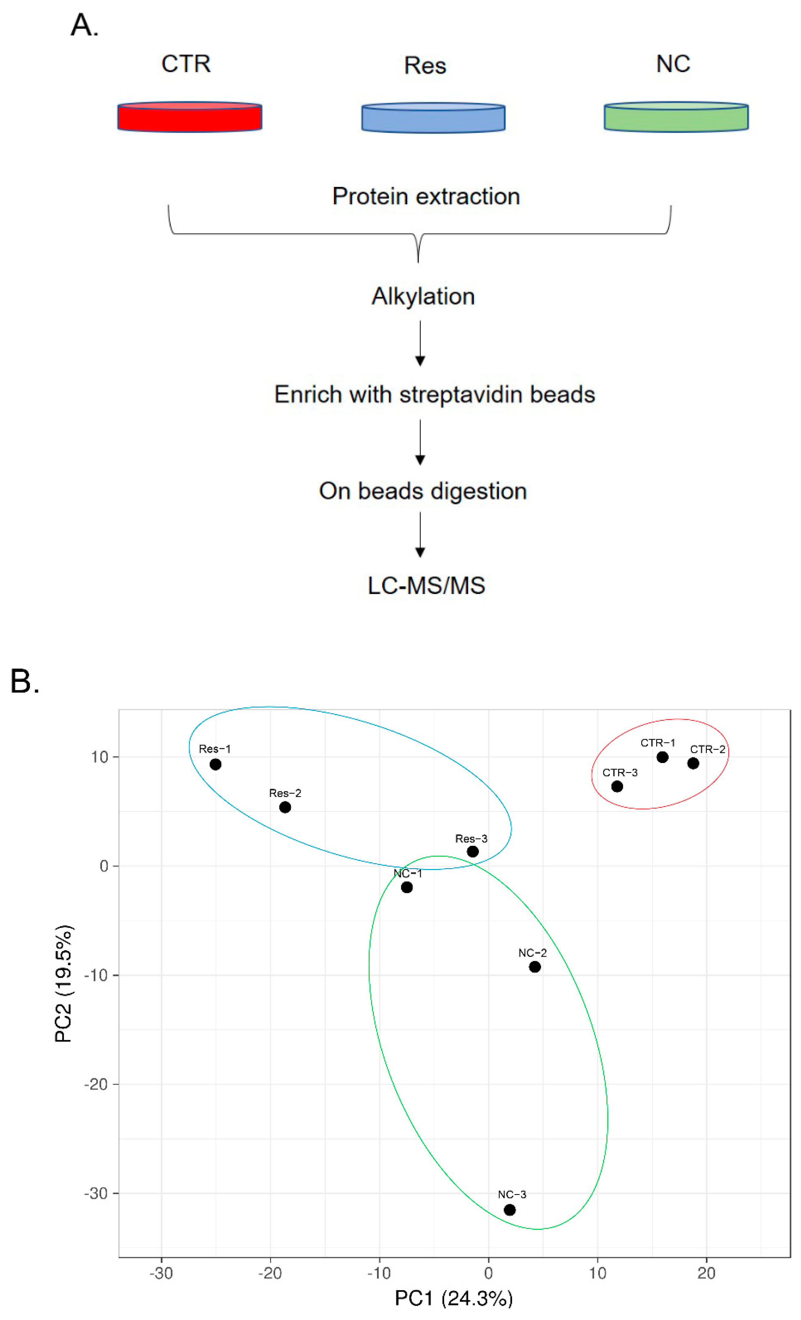 Antioxidants 11 02330 g002a