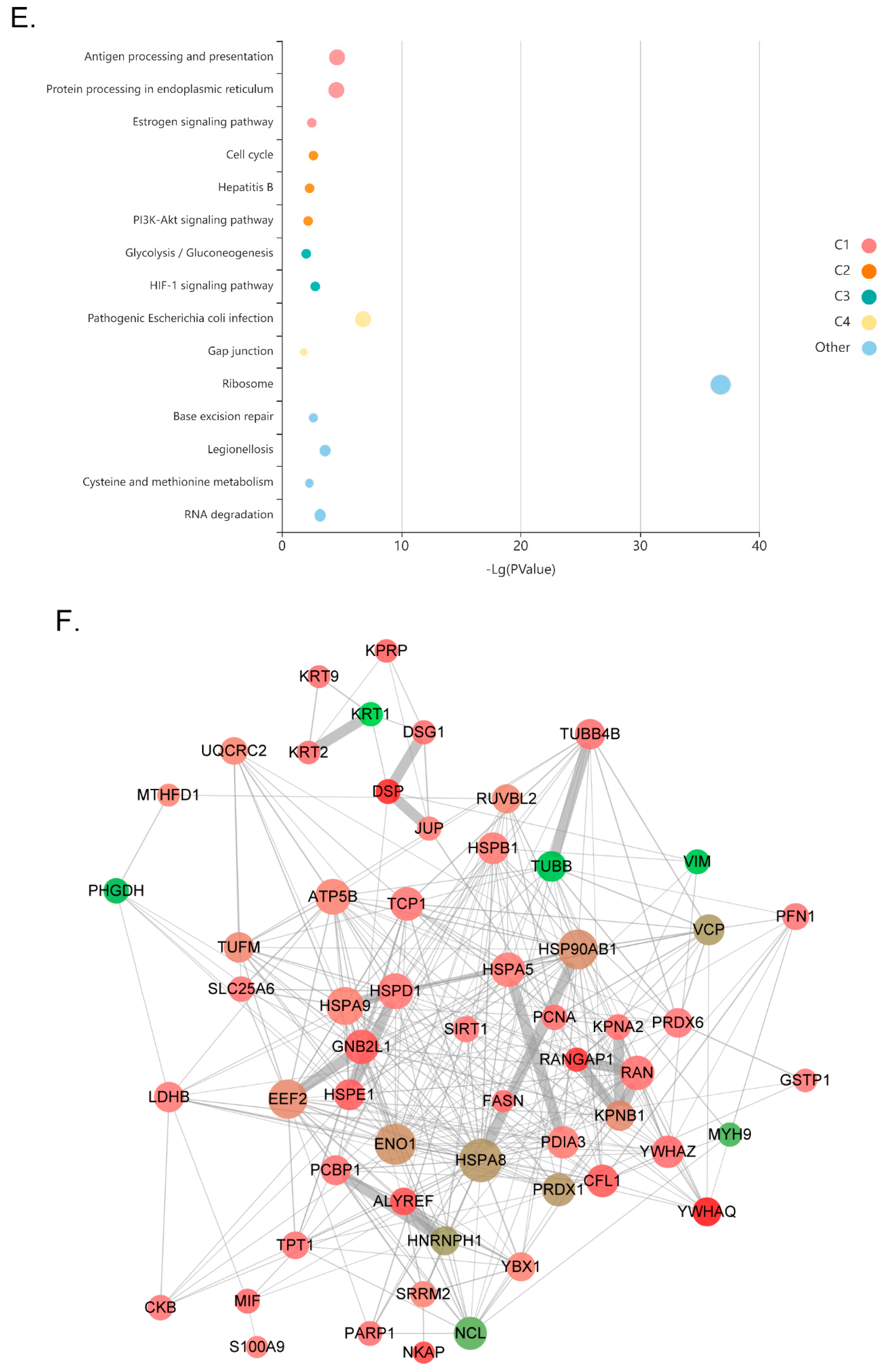 Antioxidants 11 02330 g002c