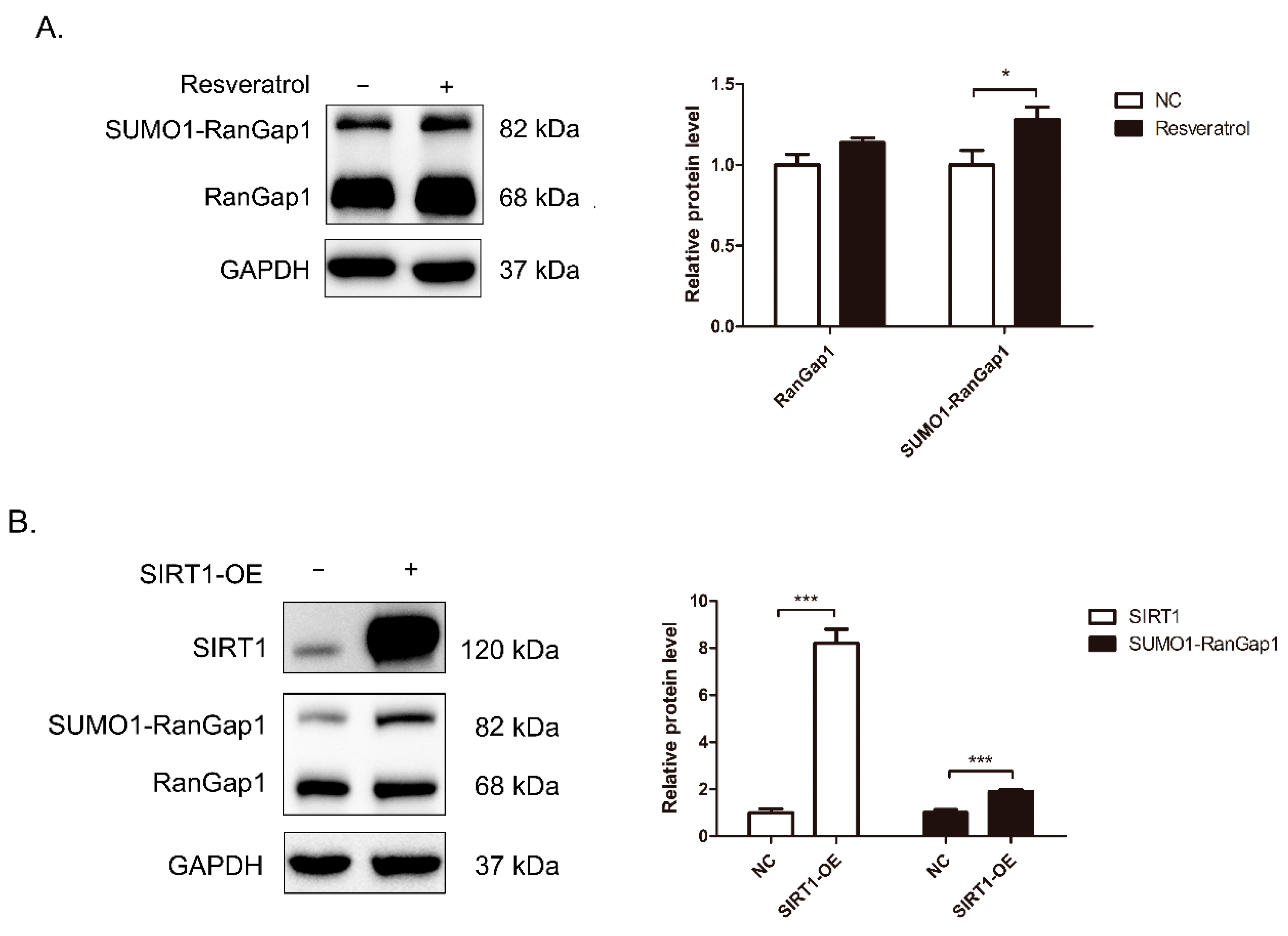 Antioxidants 11 02330 g004a