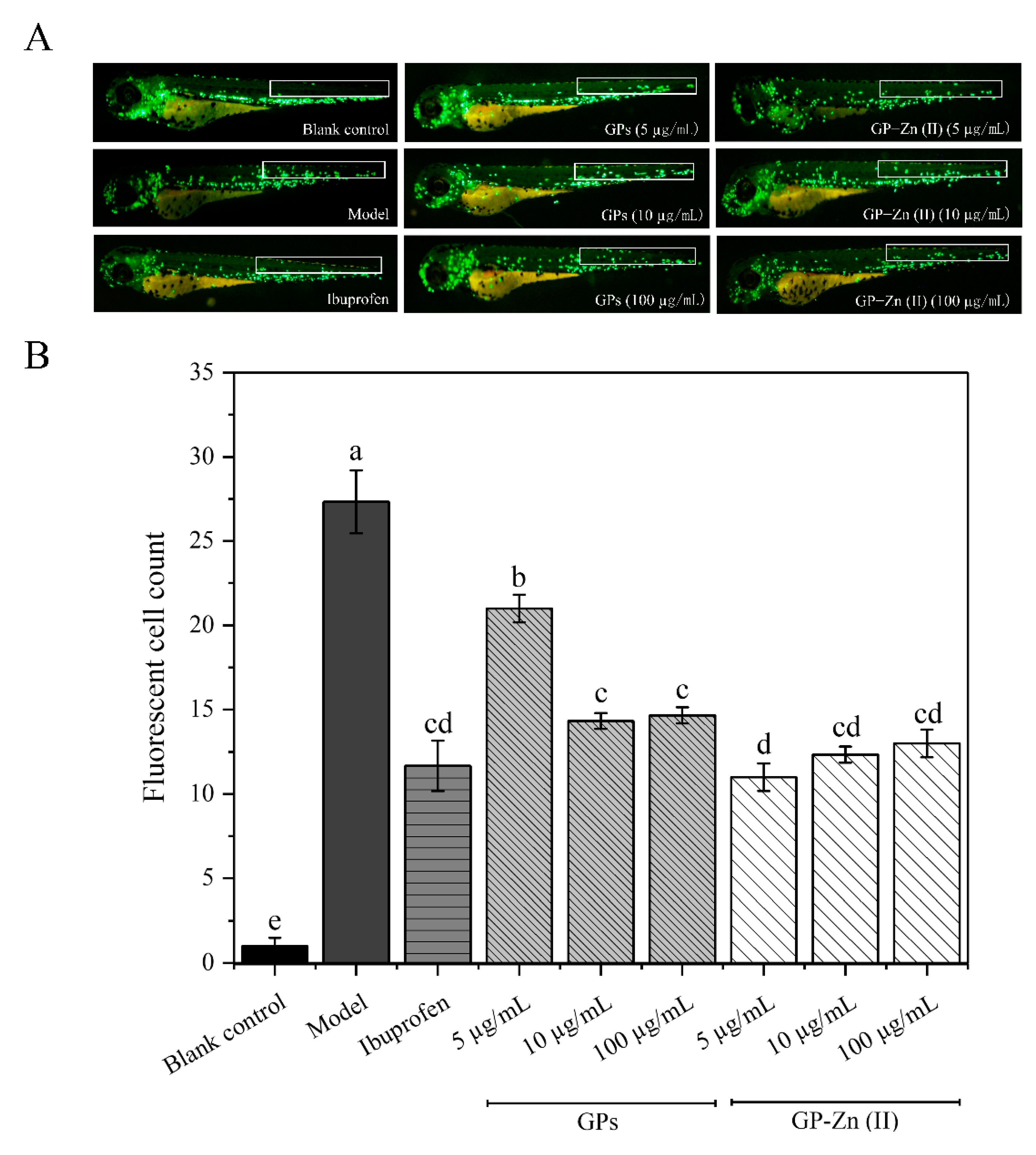 Antioxidants 11 02331 g005
