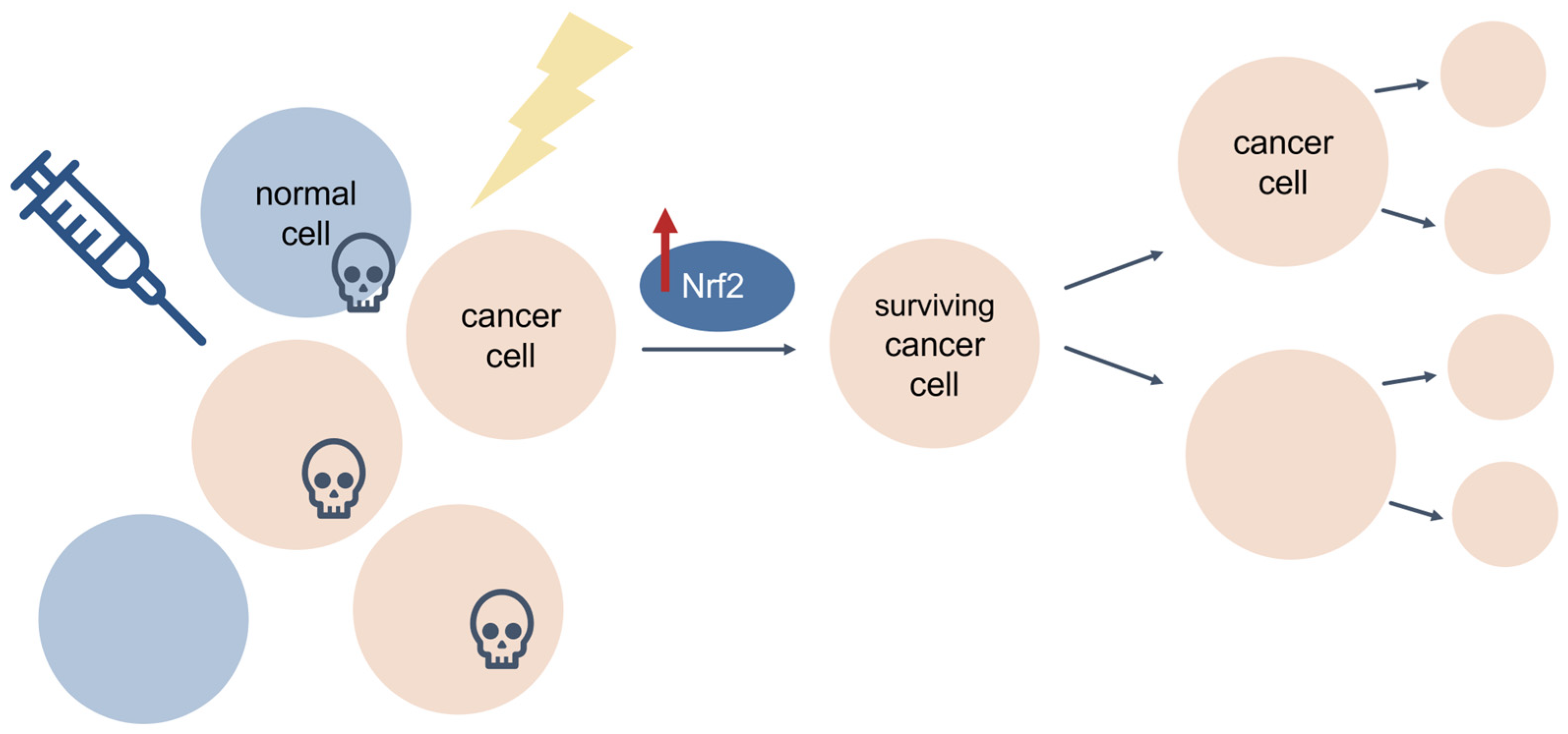 Antioxidants 11 02345 g009