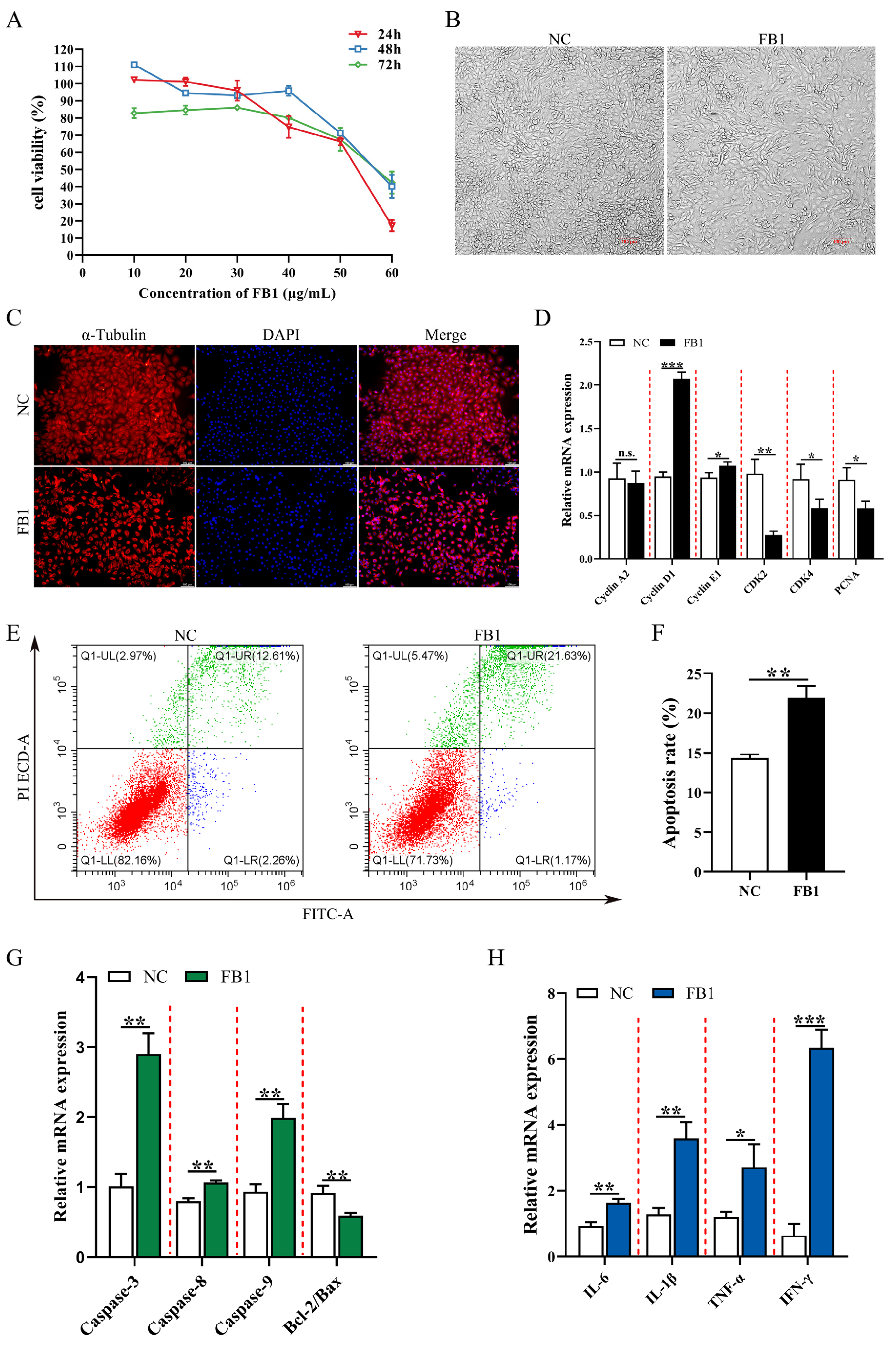 Antioxidants 11 02360 g001