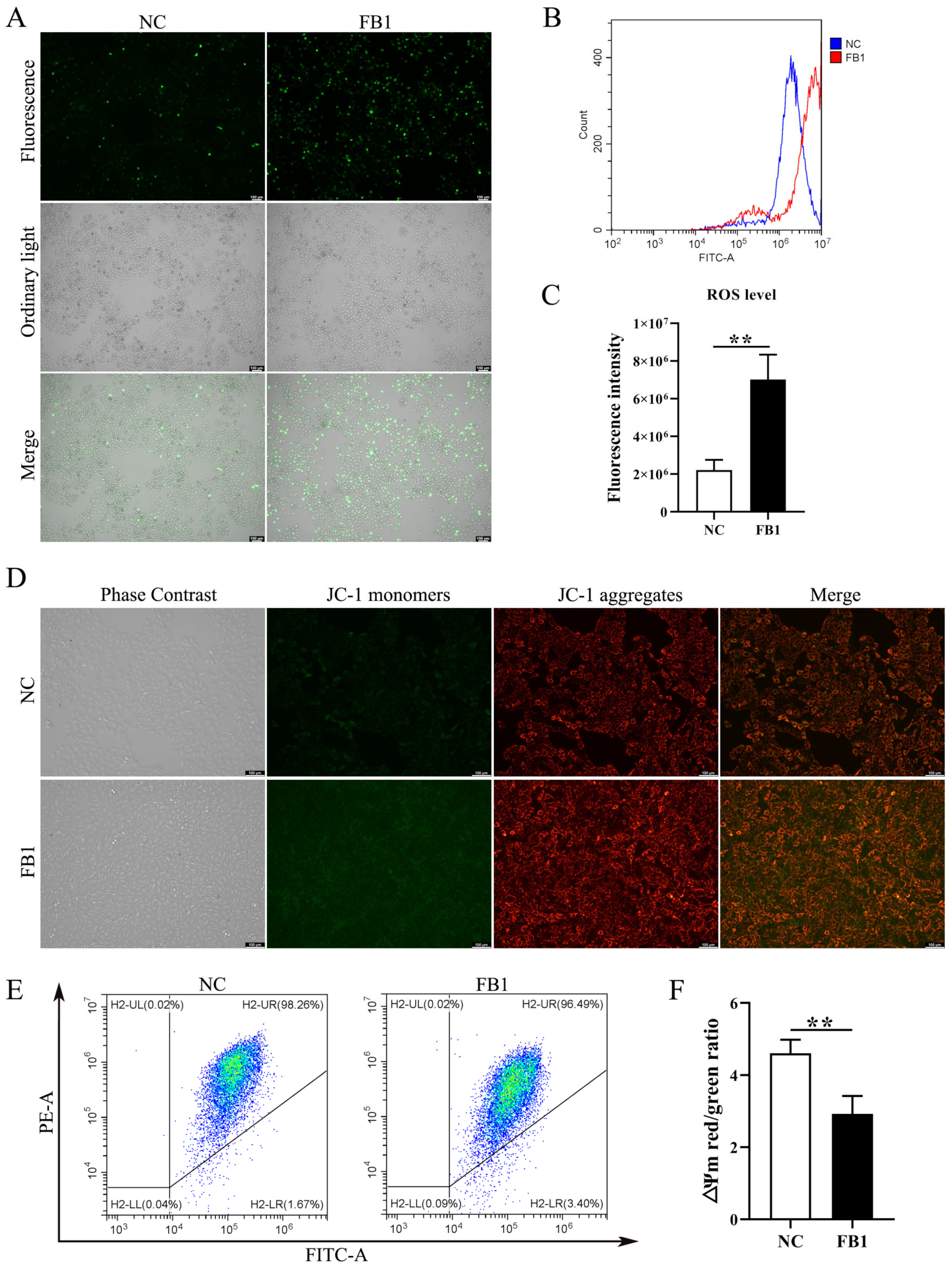 Antioxidants 11 02360 g002