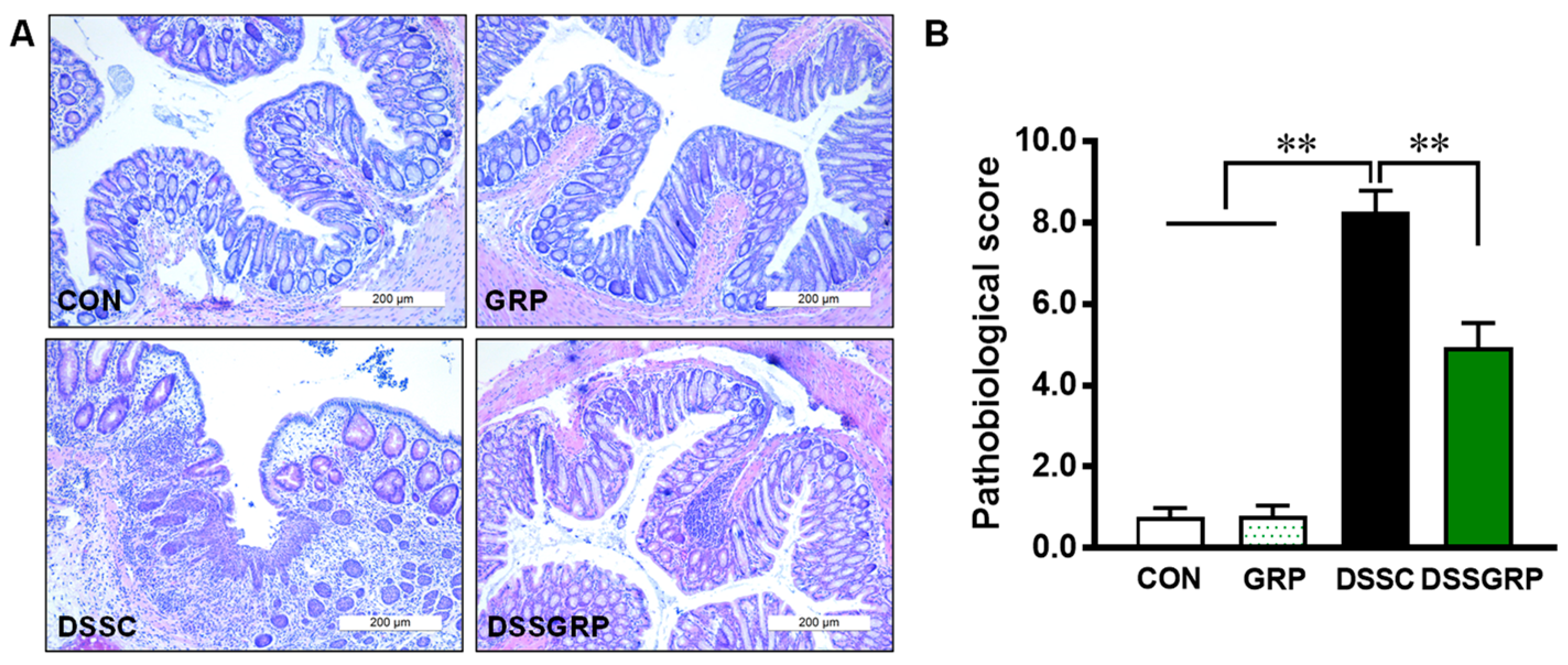 Antioxidants 11 02404 g002 Antioxidants 11 02404 g002
