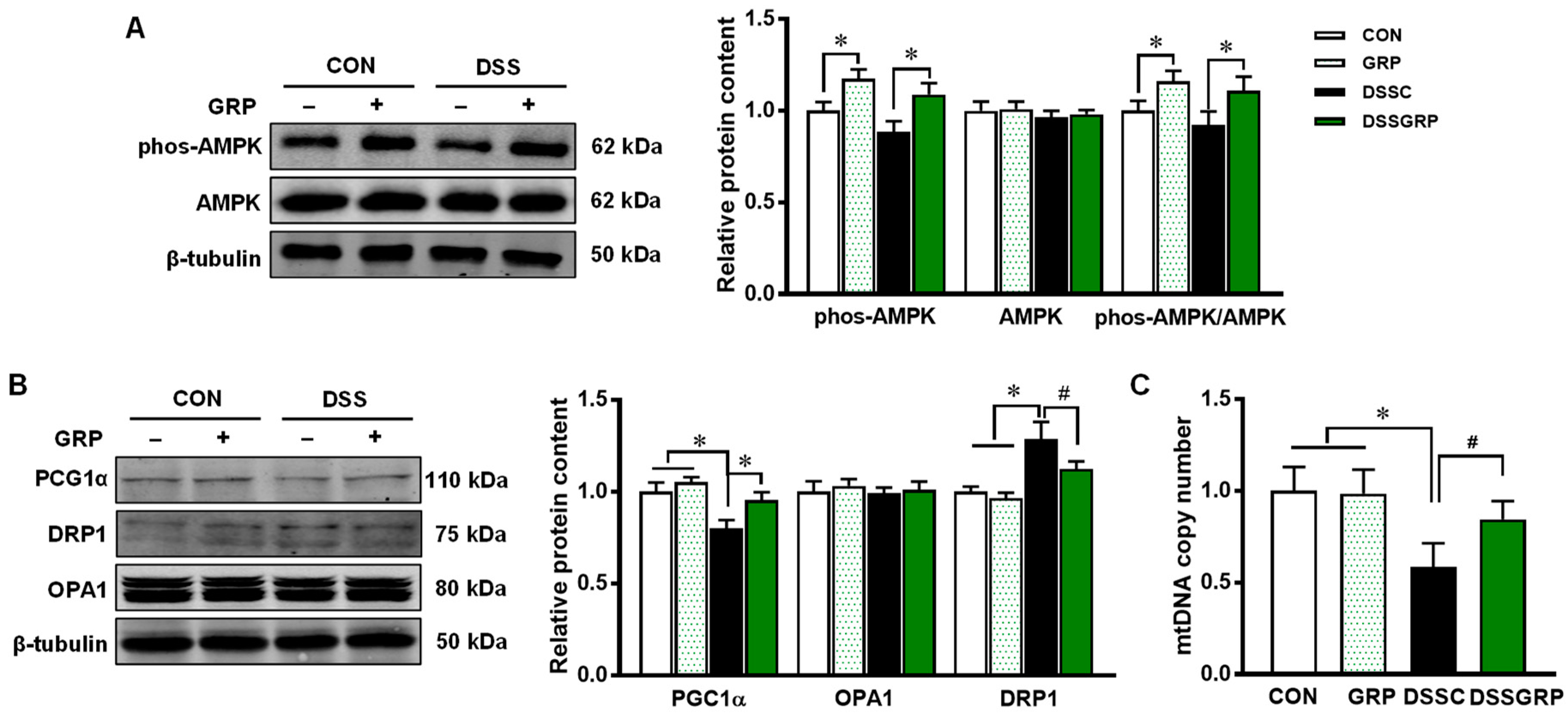 Antioxidants 11 02404 g004 Antioxidants 11 02404 g004