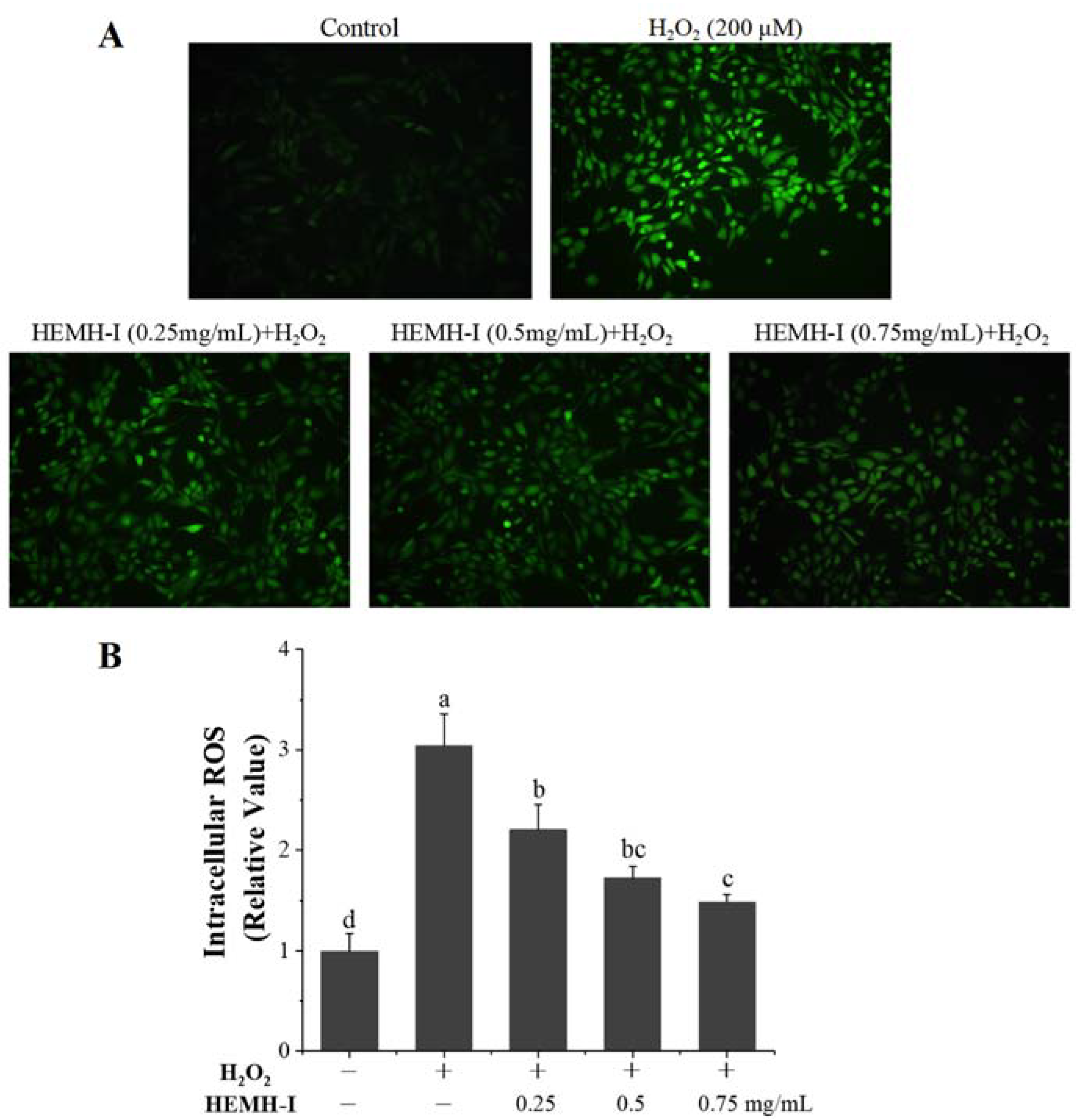 Antioxidants 11 02428 g006