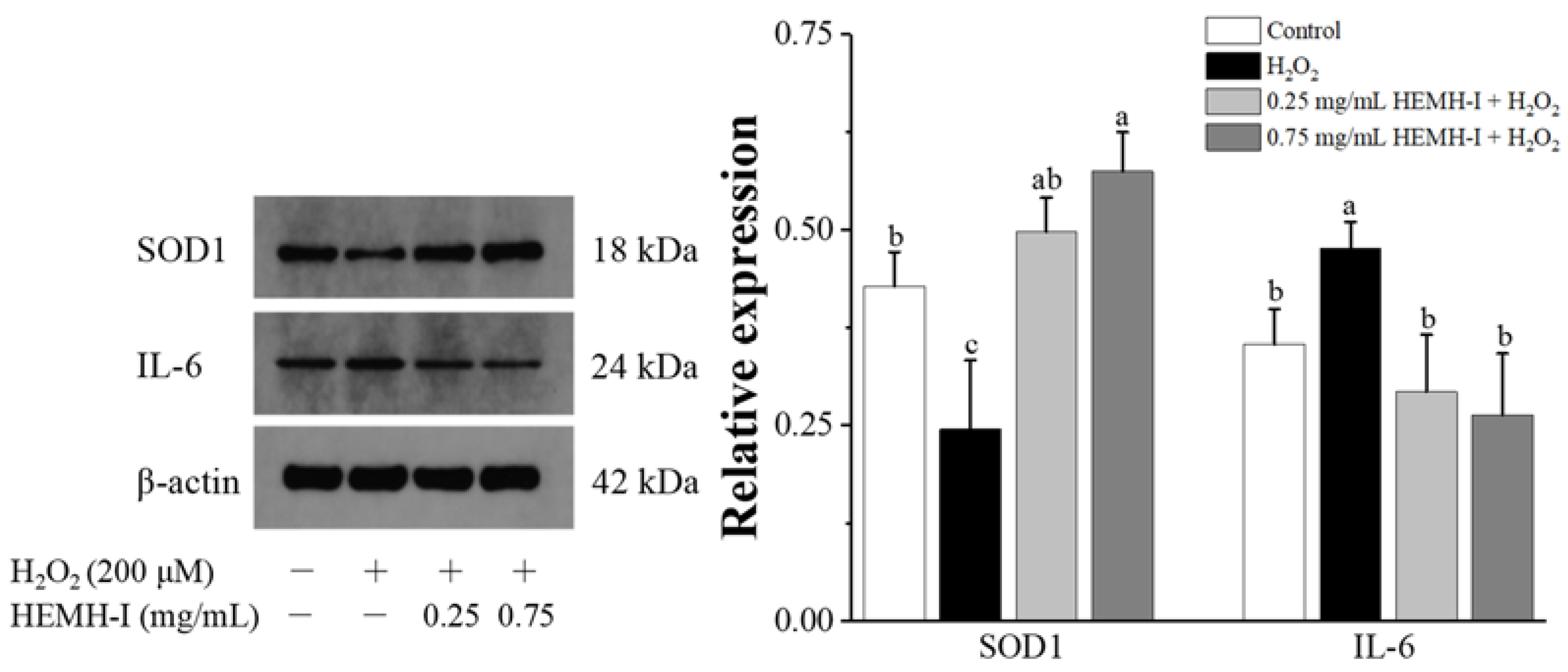 Antioxidants 11 02428 g007