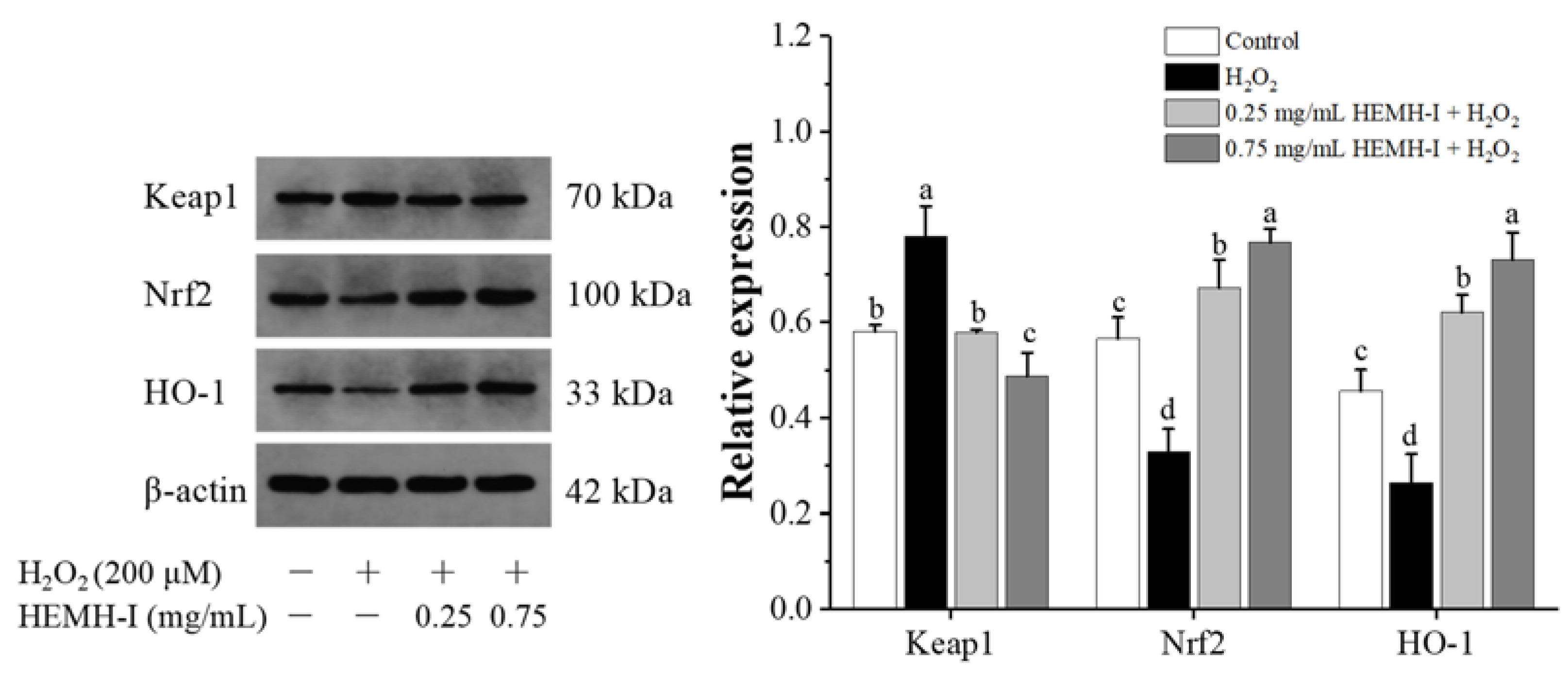 Antioxidants 11 02428 g009
