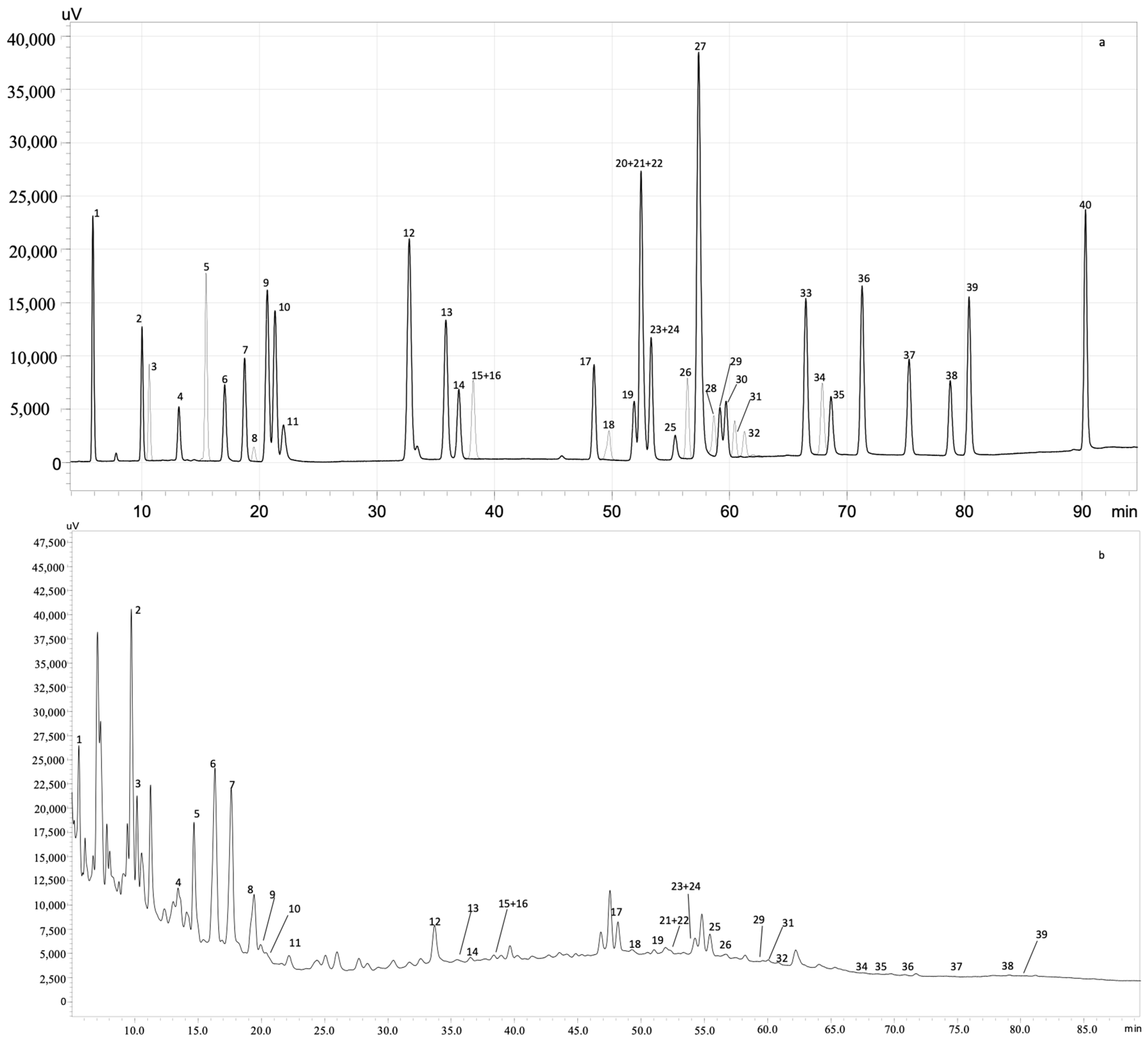 Antioxidants 11 02449 g001 Antioxidants 11 02449 g001