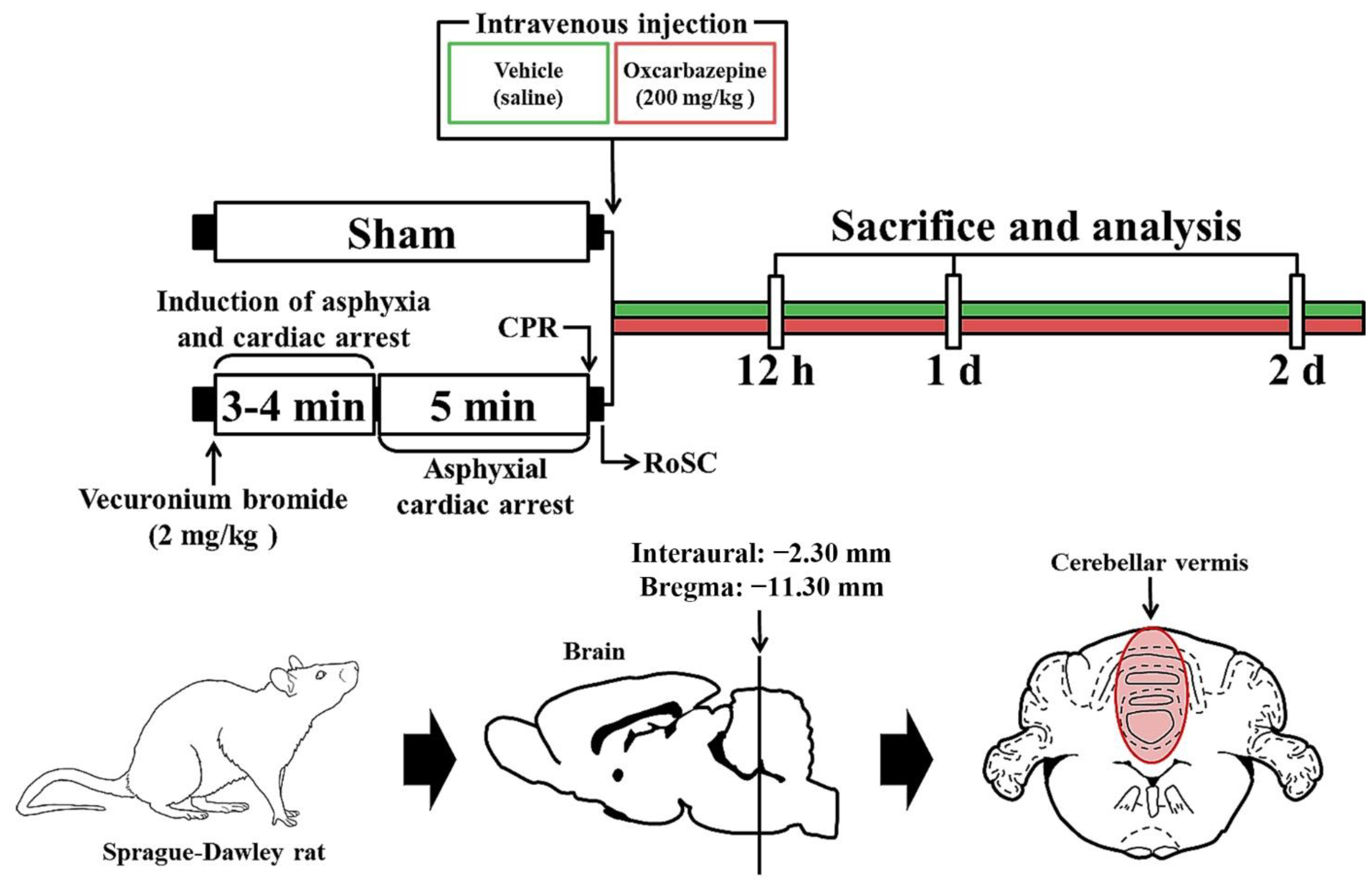 Antioxidants 11 02450 g001 Antioxidants 11 02450 g001