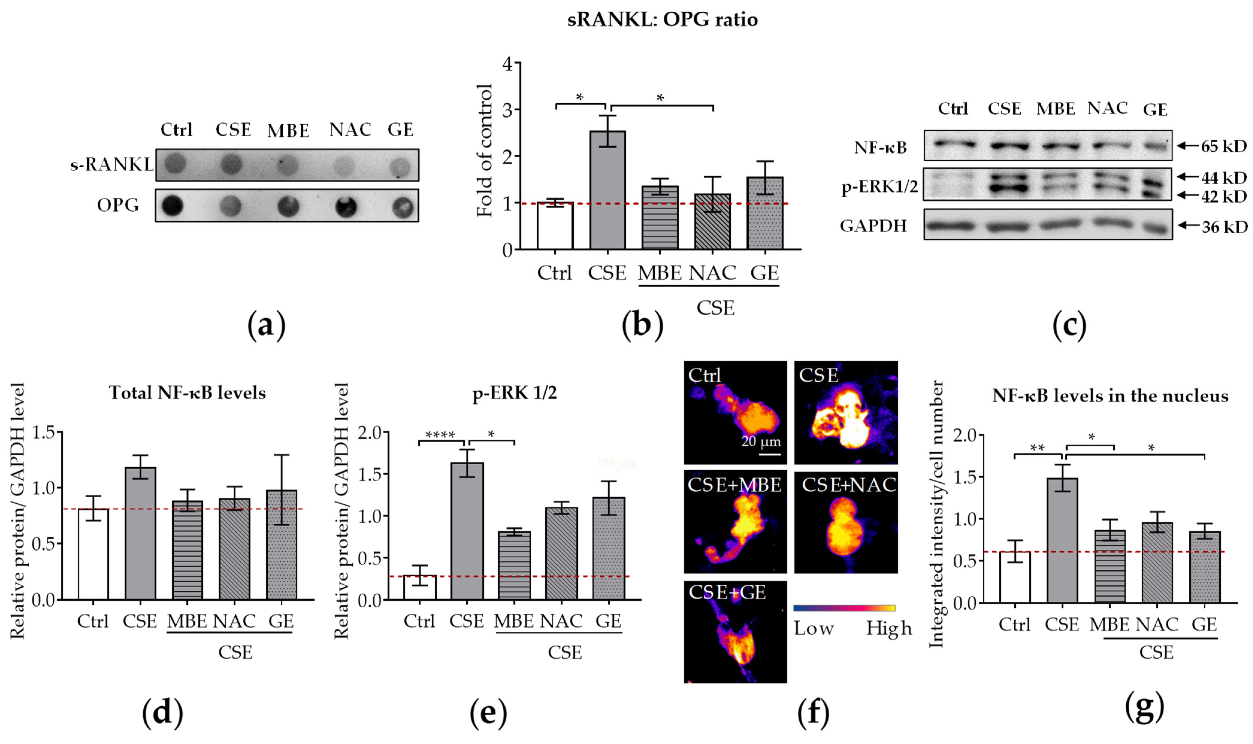 Antioxidants 11 02460 g004