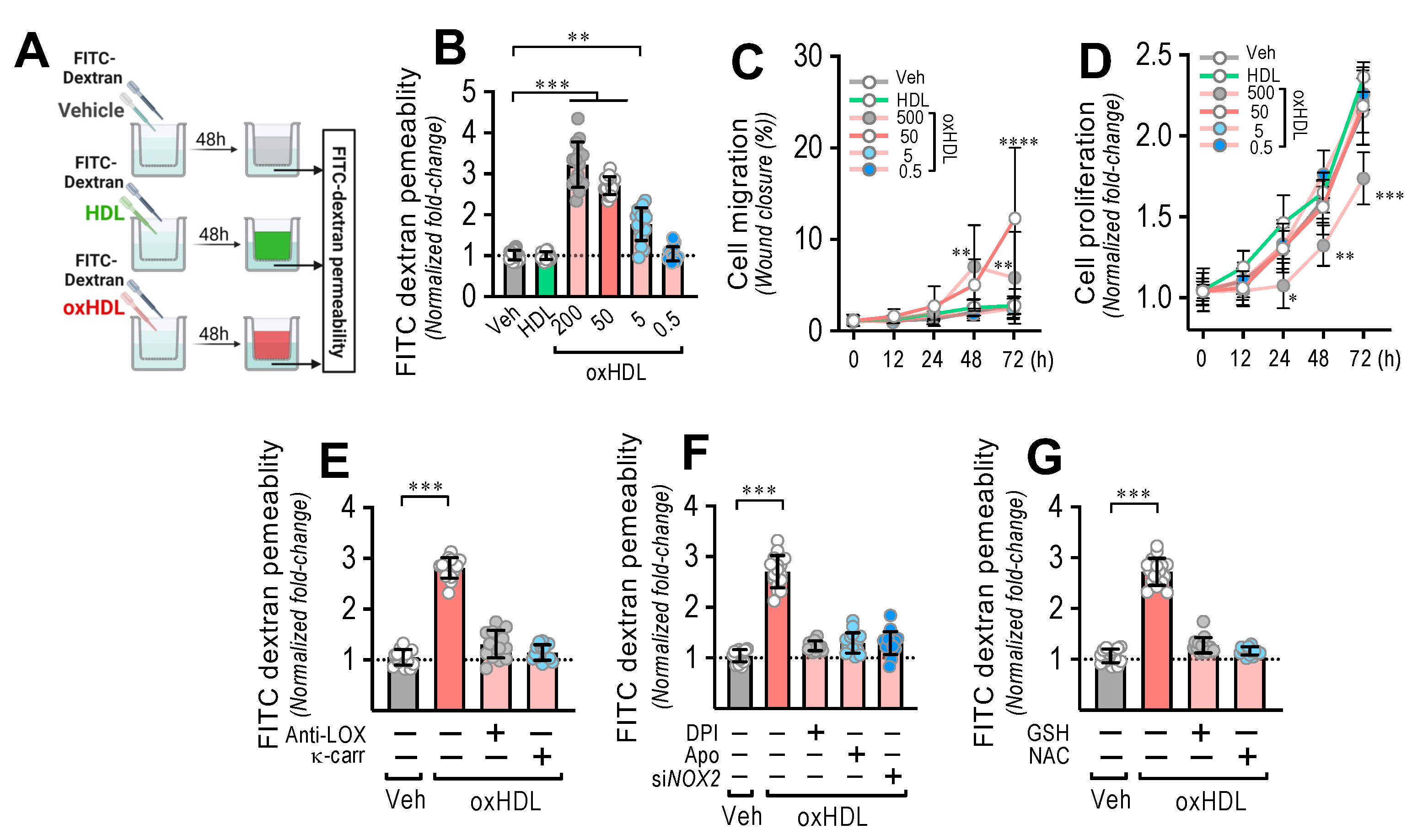 Antioxidants 11 02469 g003