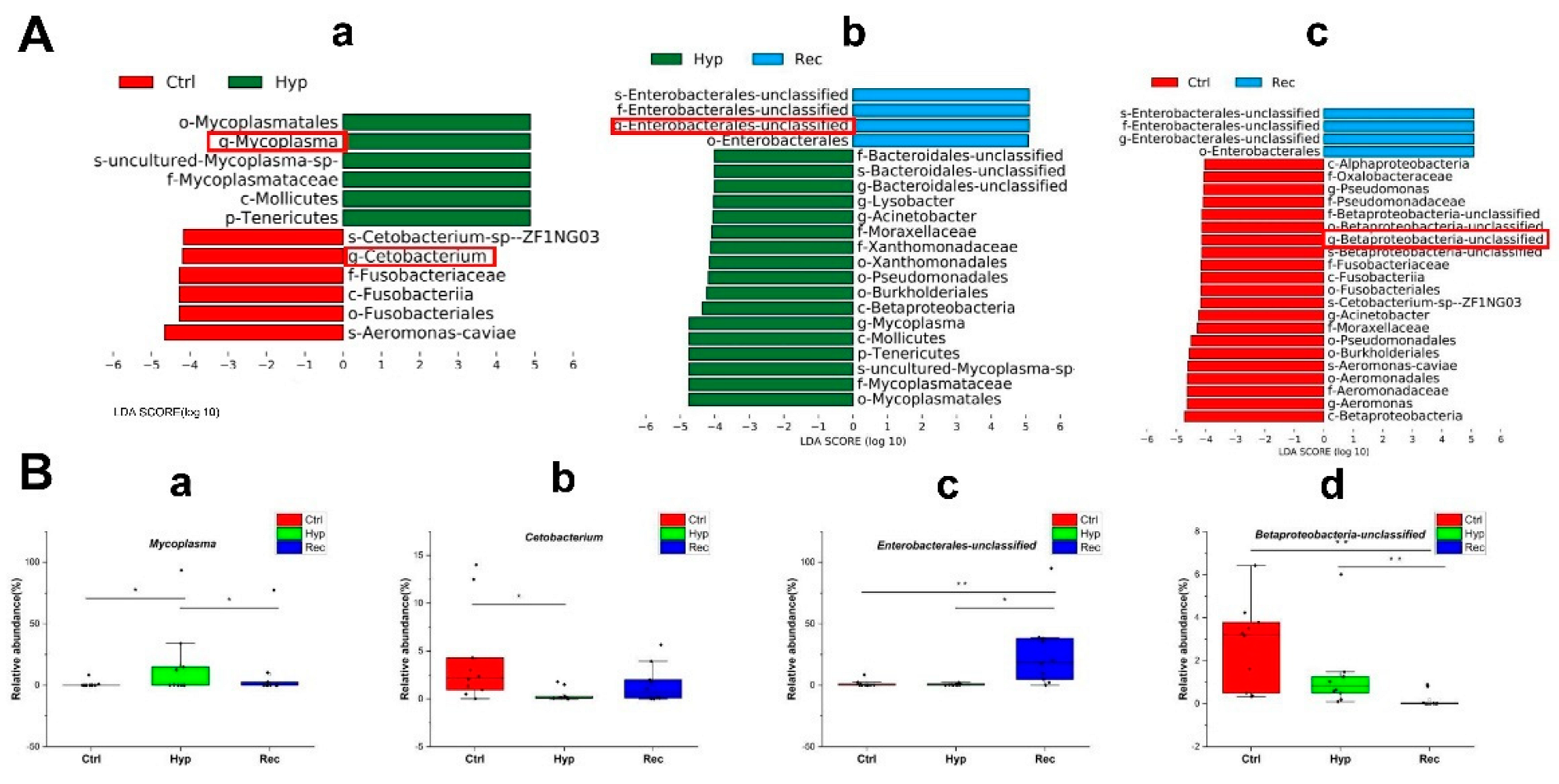 Antioxidants 12 00001 g009