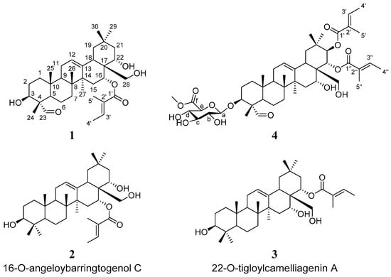 Recent advances in Camellia oleifera Abel: A review of nutritional  constituents, biofunctional properties, and potential industrial  applications - ScienceDirect