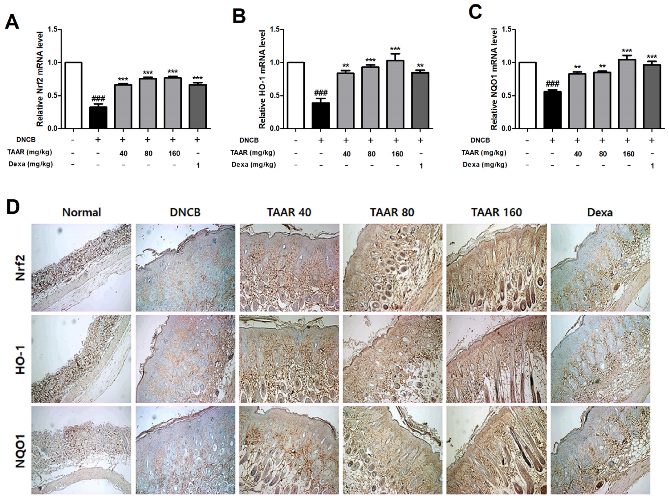 Antioxidants 12 00027 g009