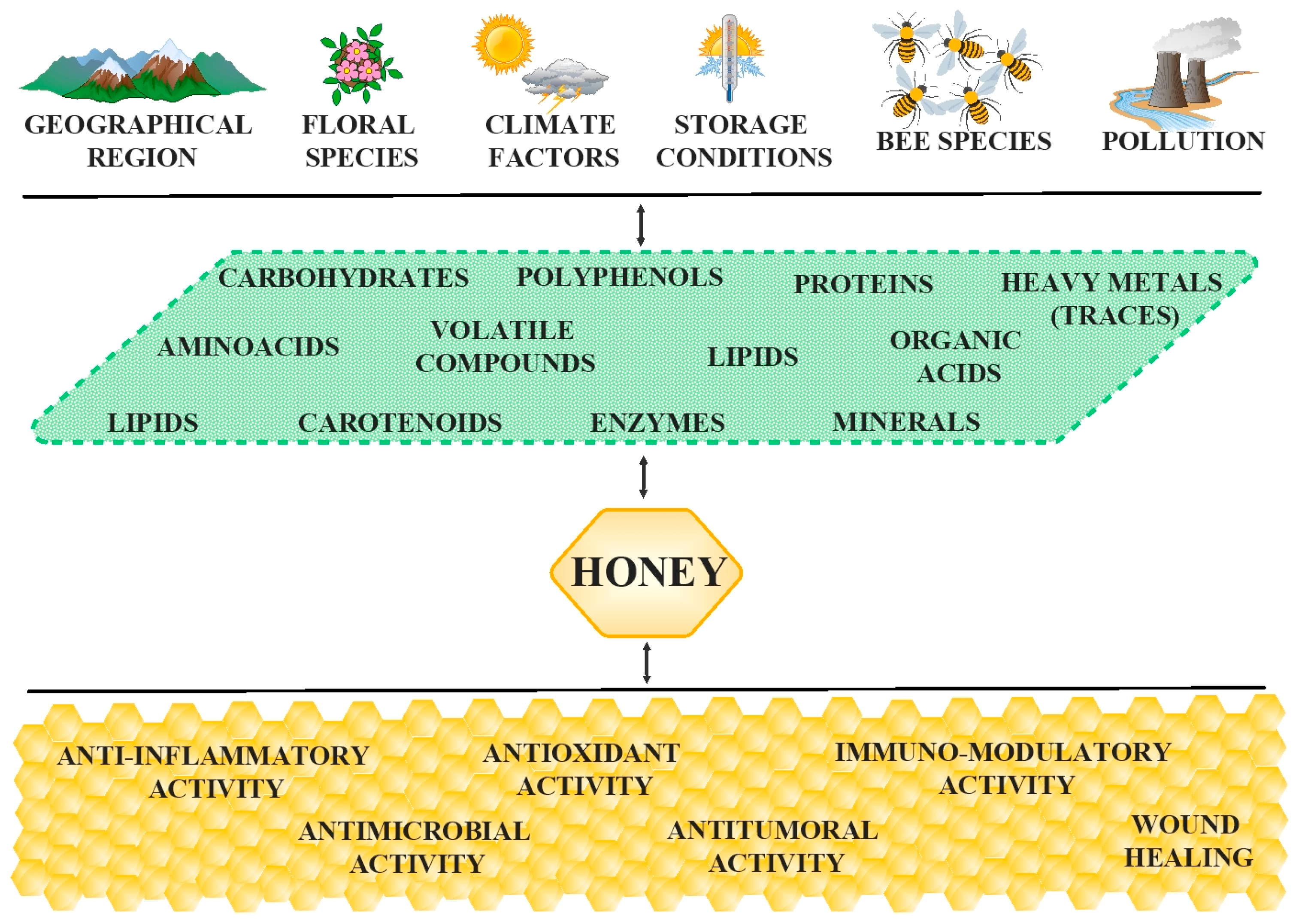 Antioxidants 12 00034 g001
