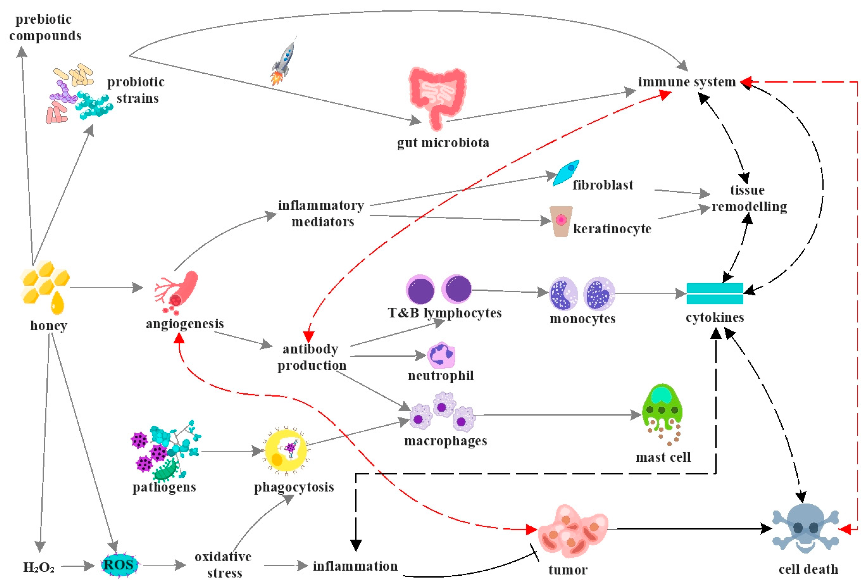 Antioxidants 12 00034 g003