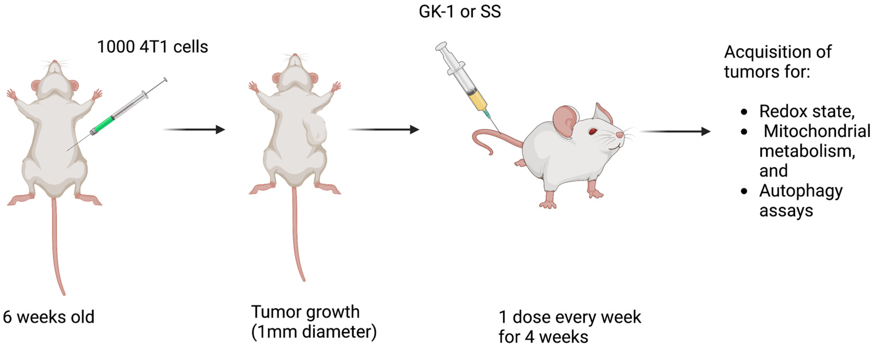 Antioxidants 12 00056 g001