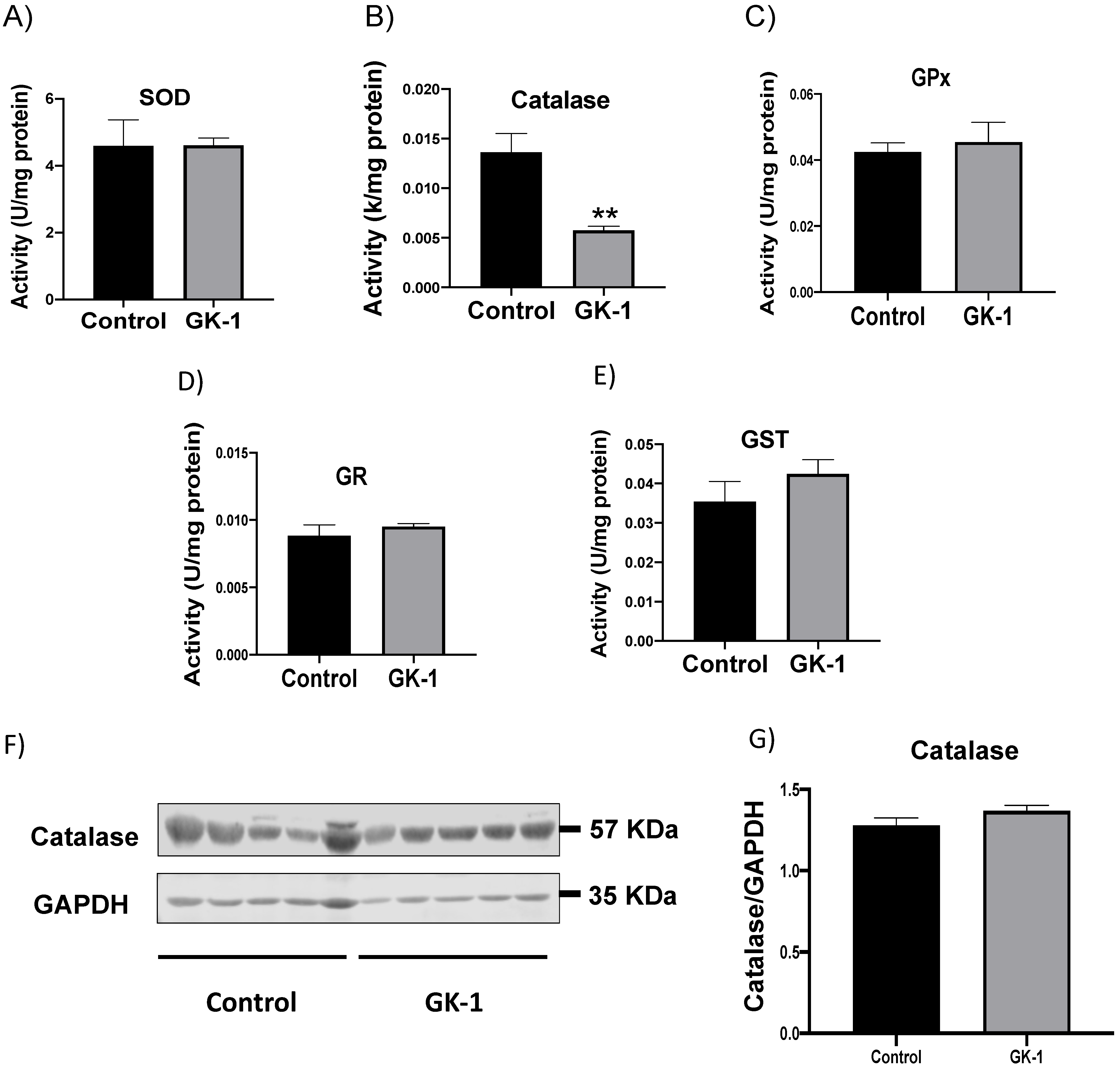 Antioxidants 12 00056 g002