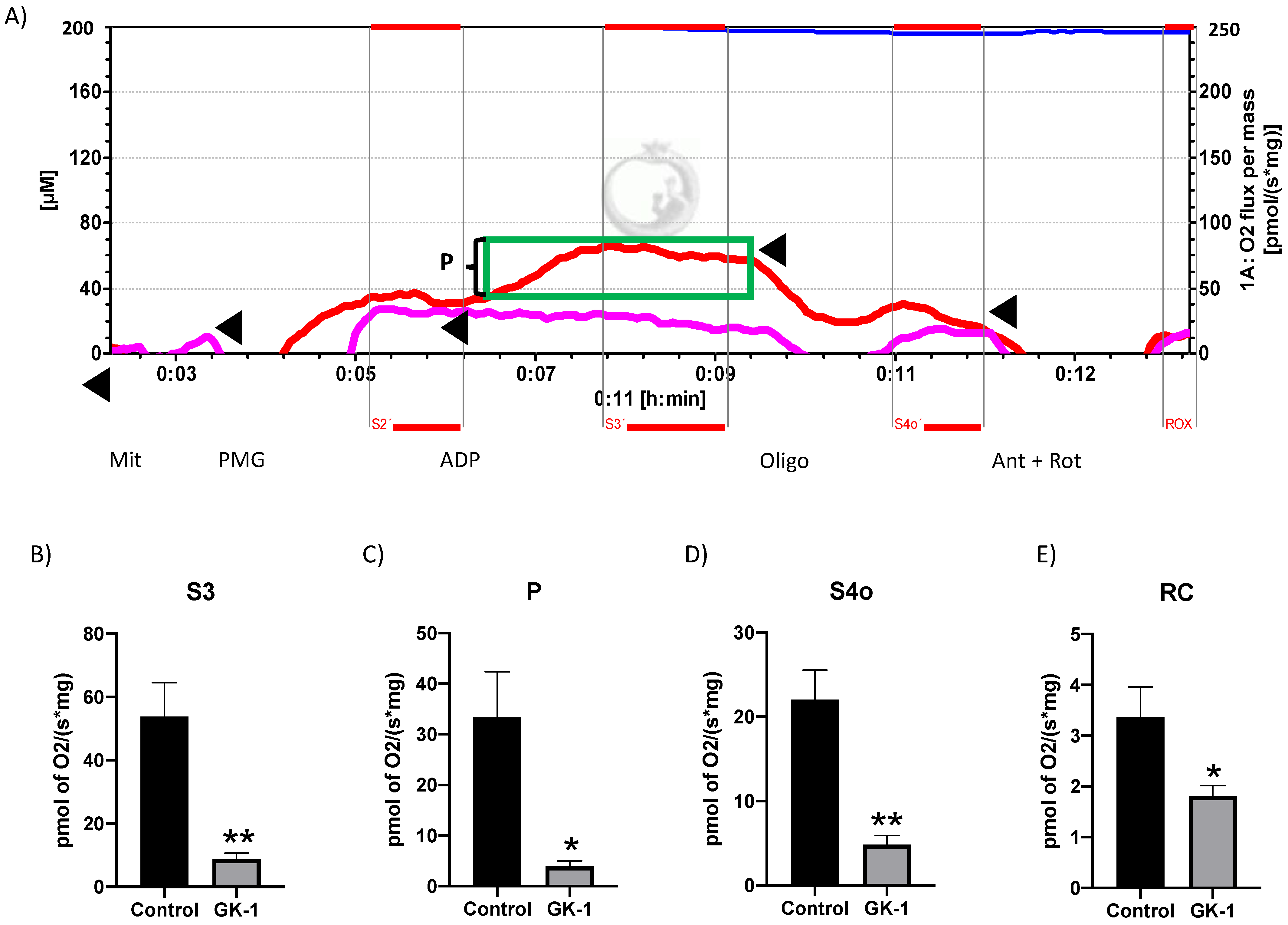 Antioxidants 12 00056 g005