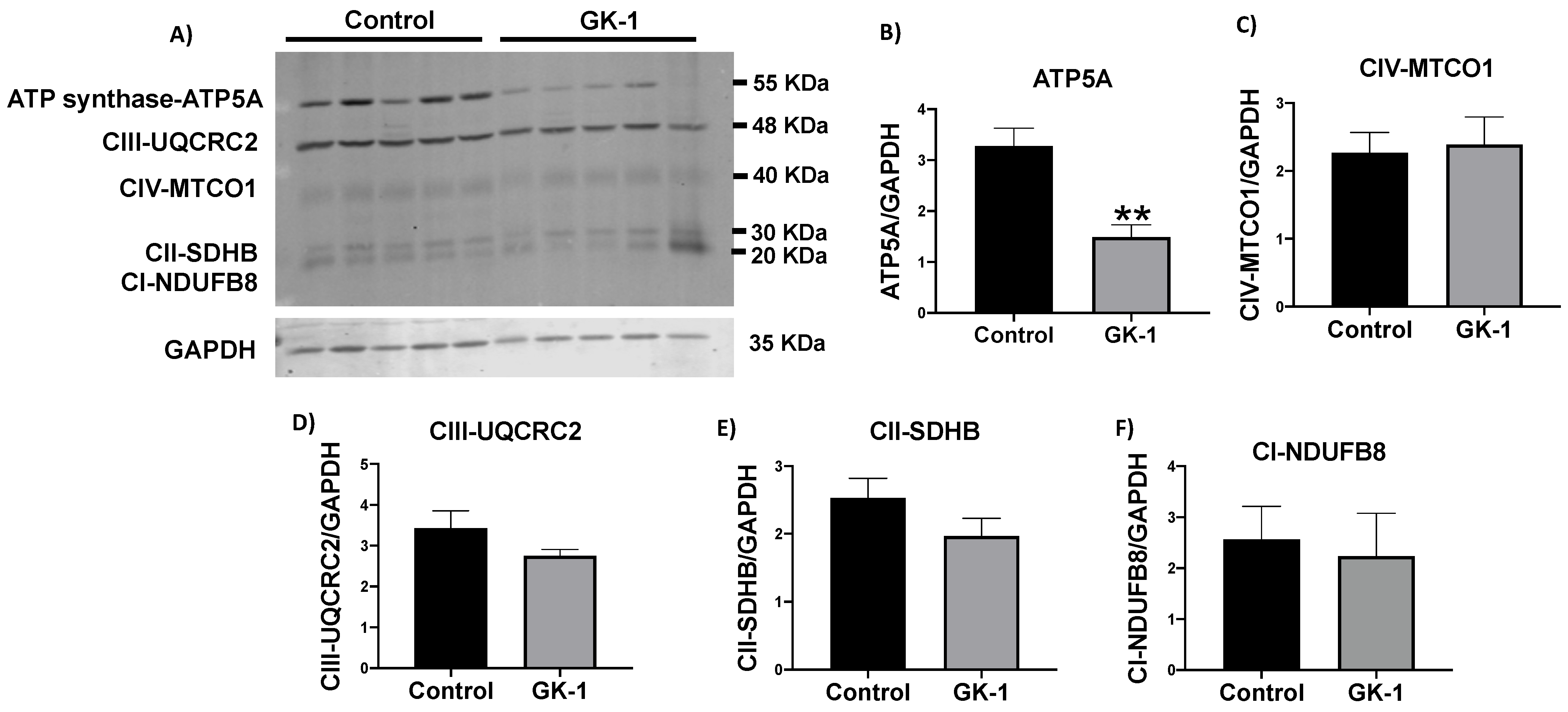 Antioxidants 12 00056 g006