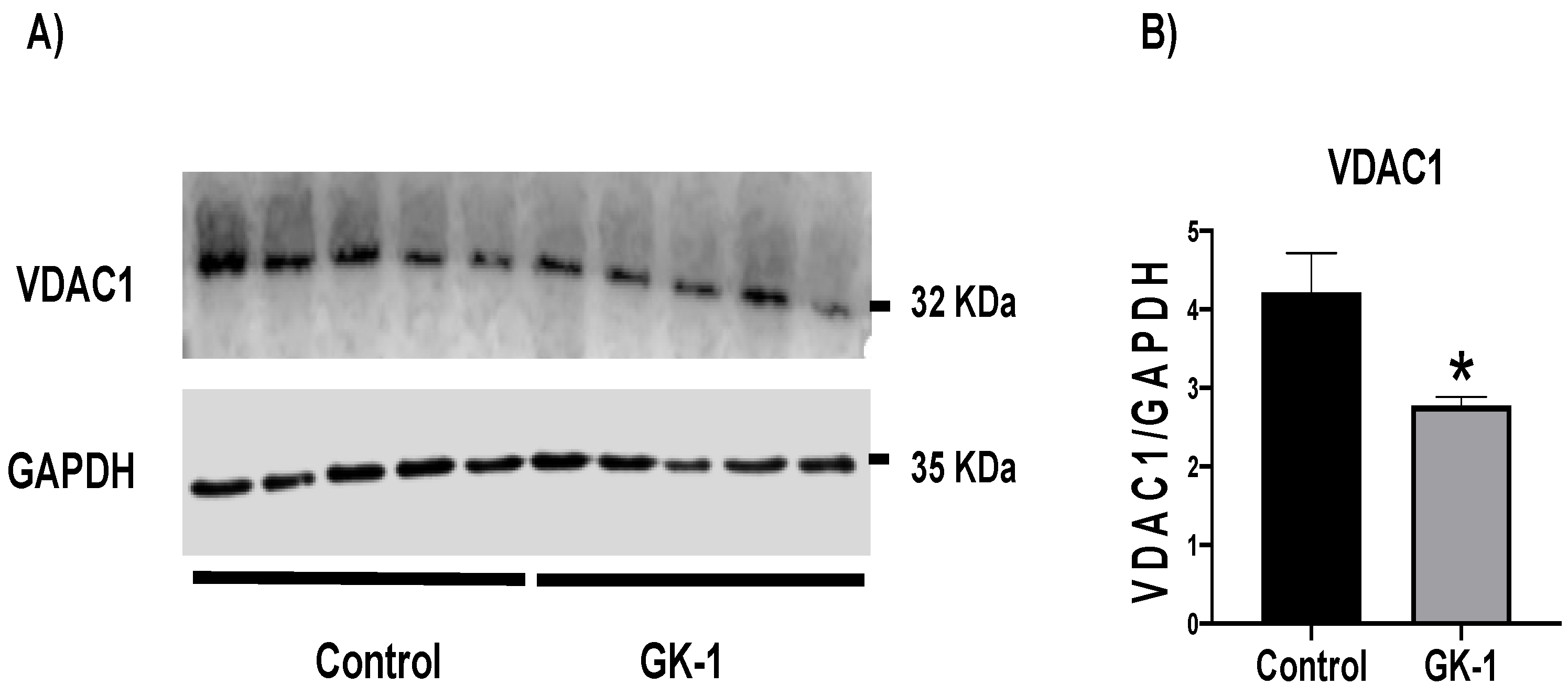 Antioxidants 12 00056 g007