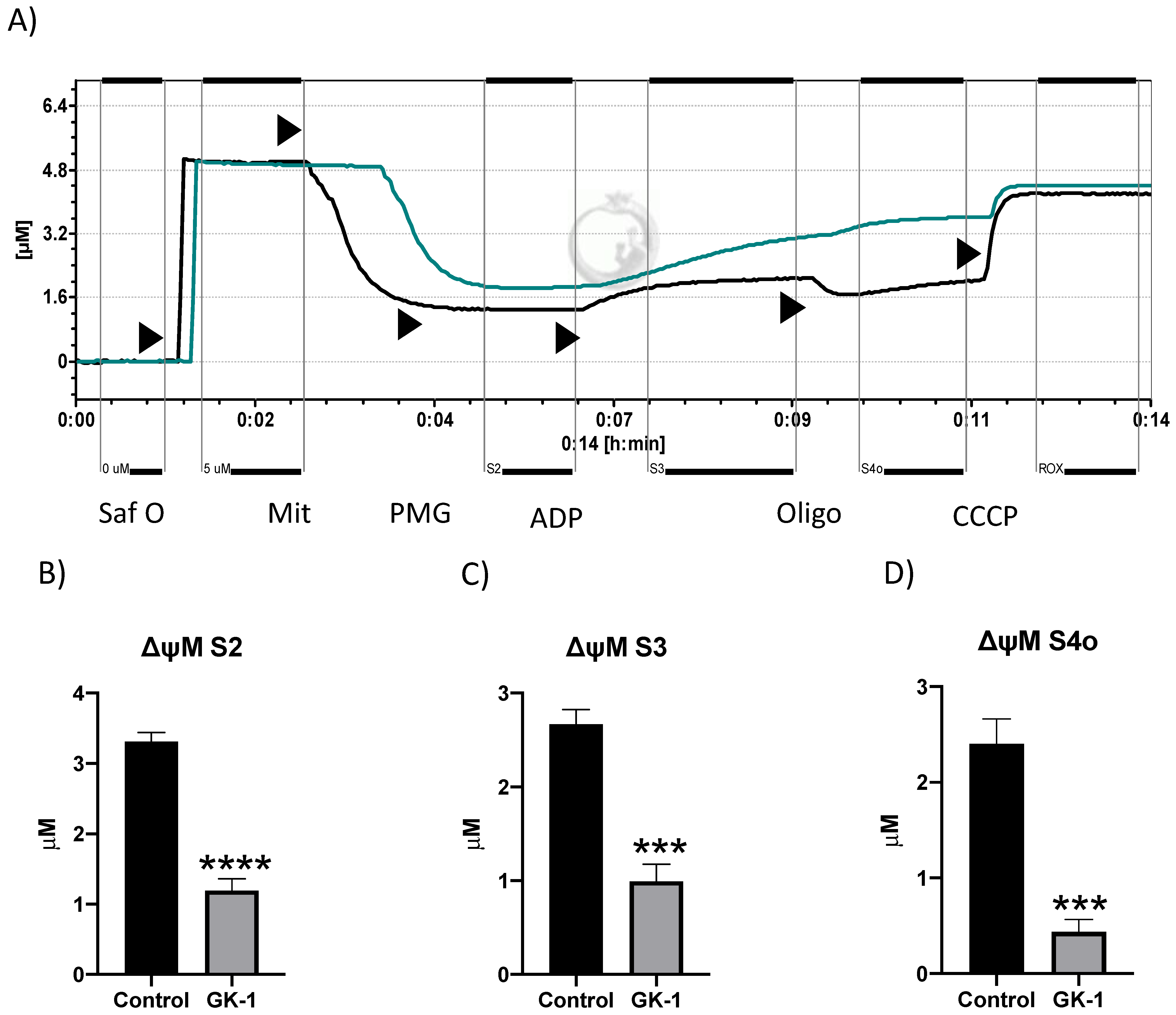 Antioxidants 12 00056 g008